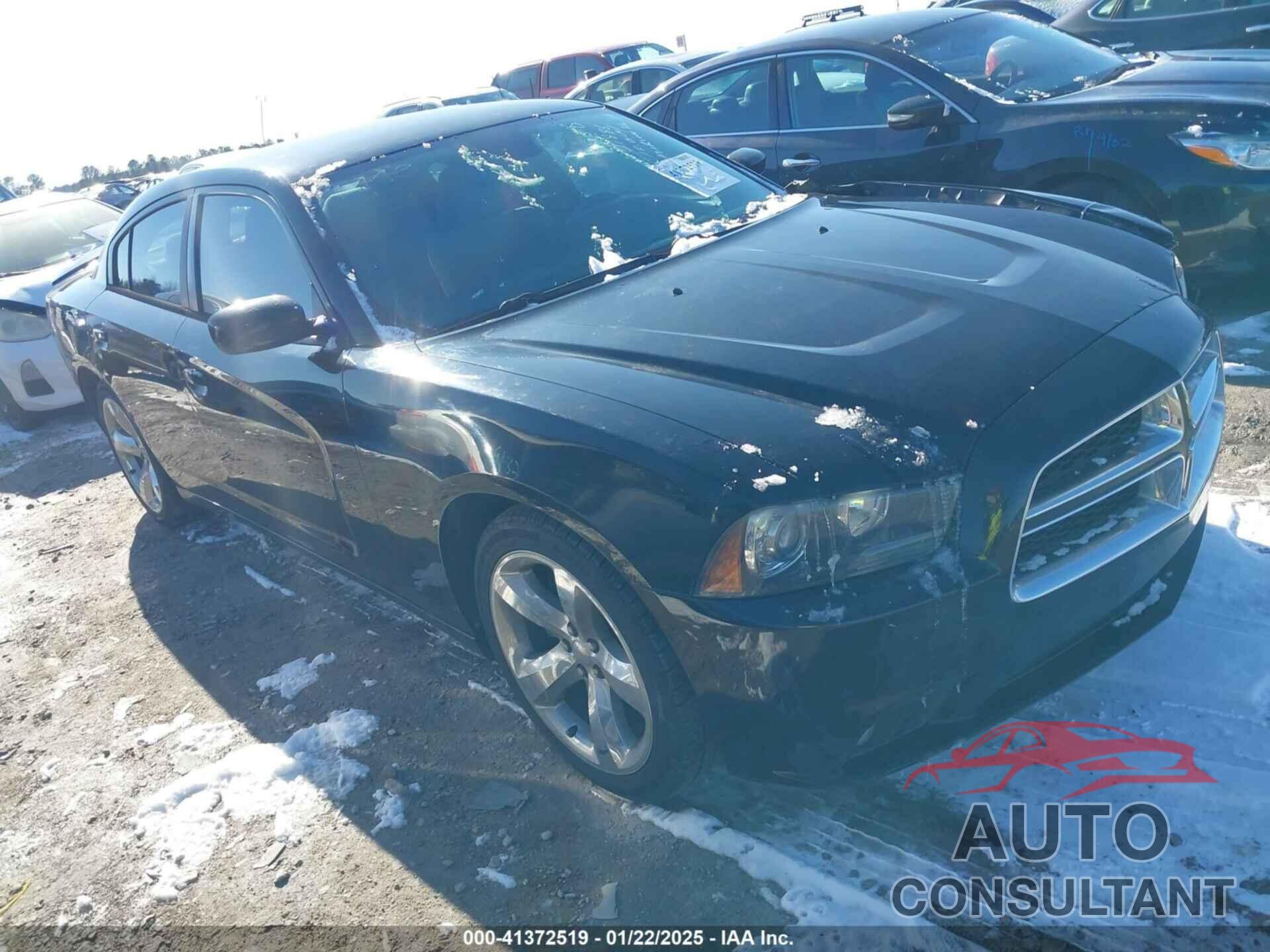 DODGE CHARGER 2014 - 2C3CDXHG9EH217694