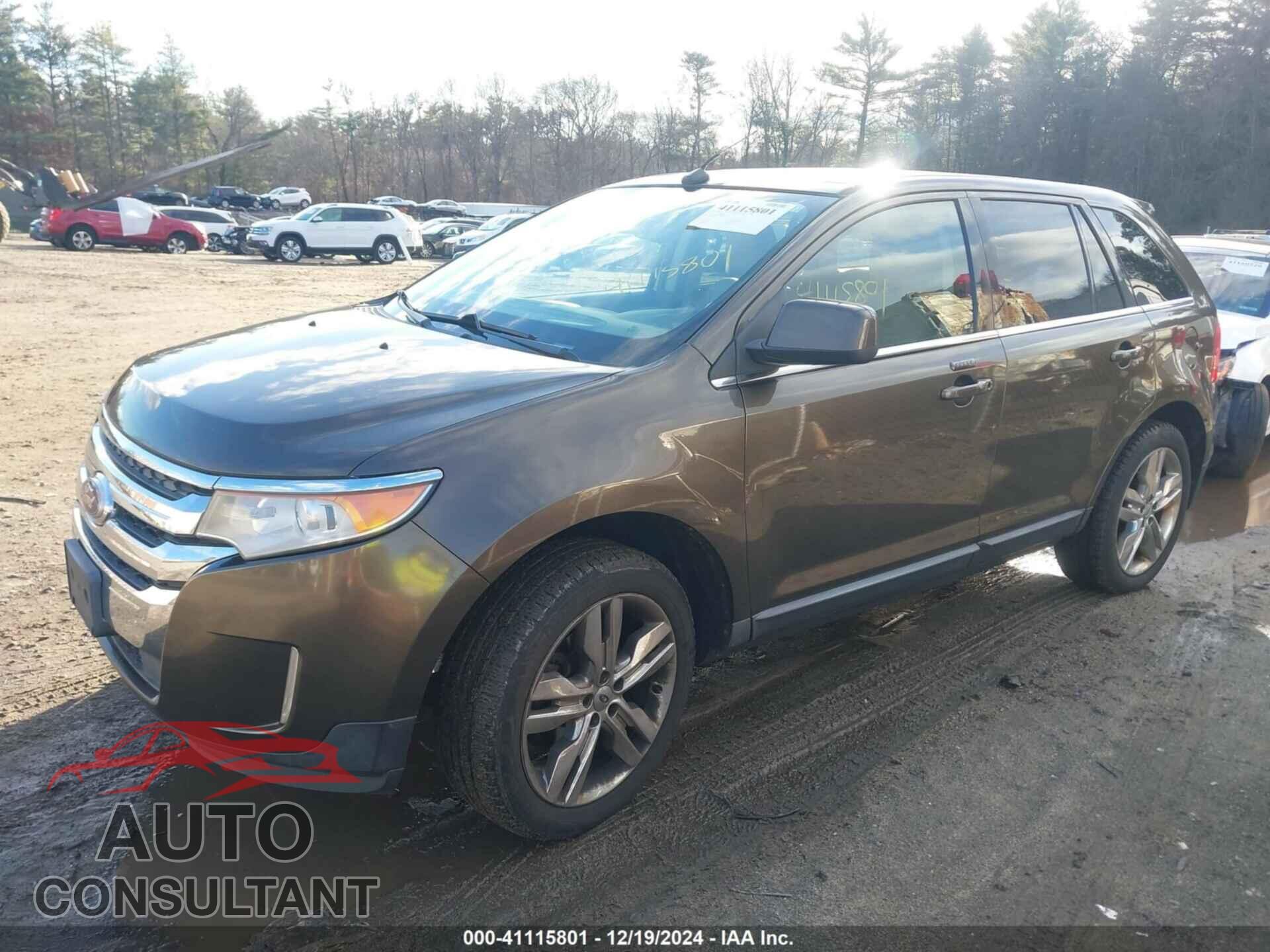 FORD EDGE 2011 - 2FMDK4KC8BBA82695