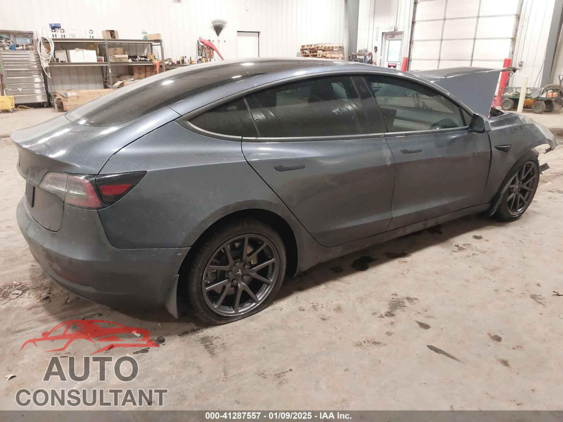 TESLA MODEL 3 2019 - 5YJ3E1EB0KF386048