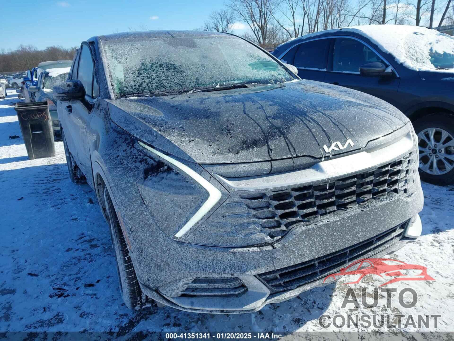 KIA SPORTAGE 2024 - 5XYK33DF6RG212358