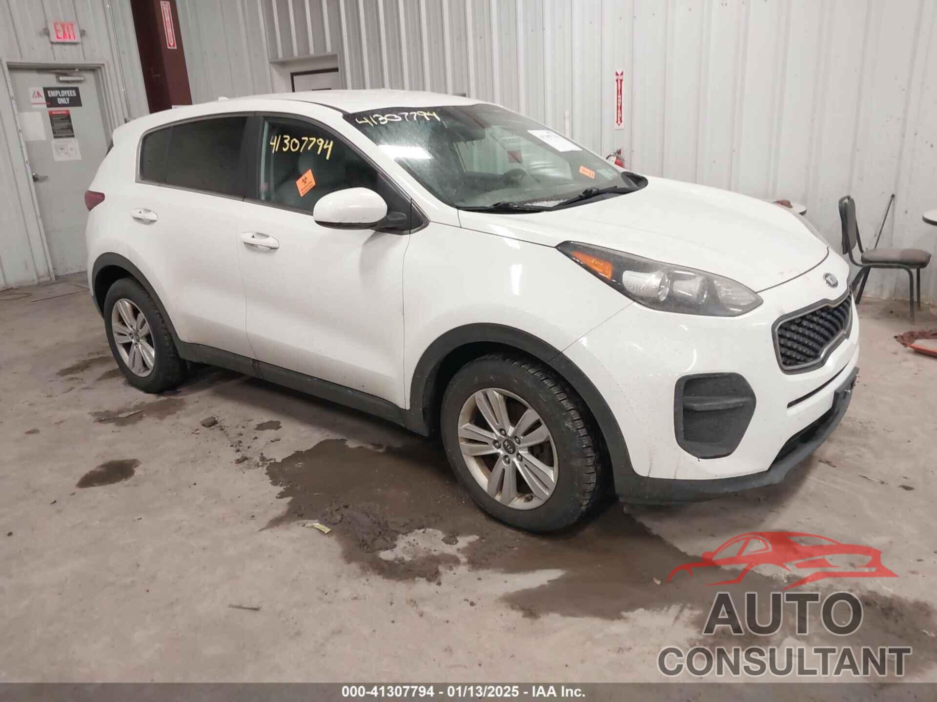 KIA SPORTAGE 2017 - KNDPM3AC8H7125229