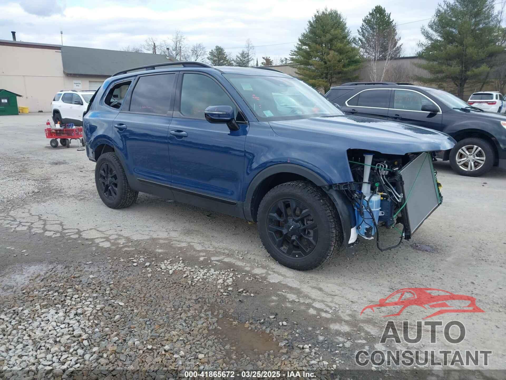 KIA TELLURIDE 2024 - 5XYP5DGC9RG476097
