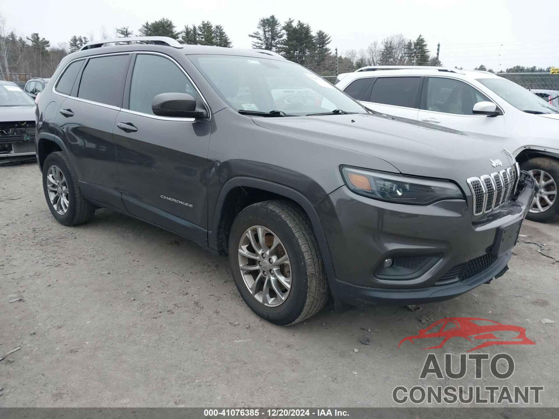 JEEP CHEROKEE 2020 - 1C4PJMLX8LD524764