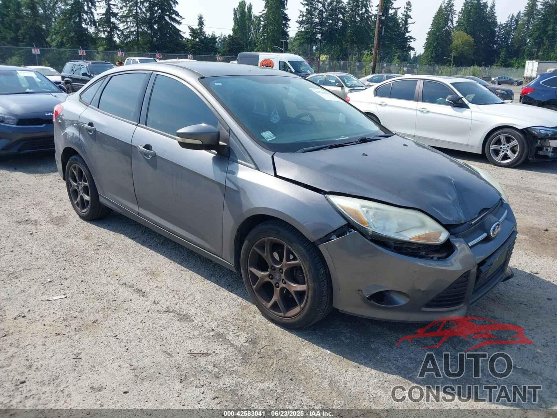 FORD FOCUS 2013 - 1FADP3F28DL233822