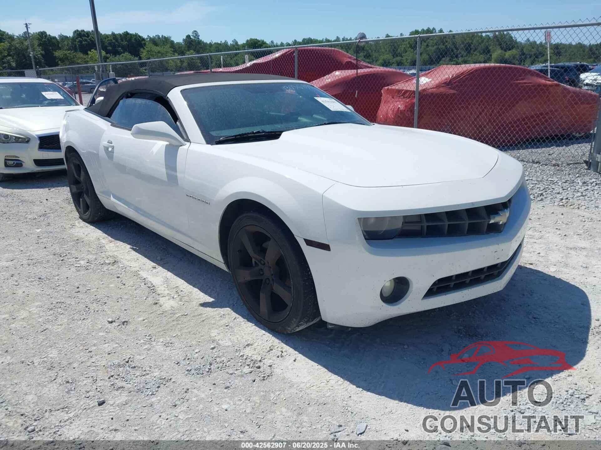 CHEVROLET CAMARO 2011 - 2G1FC3DD2B9165601