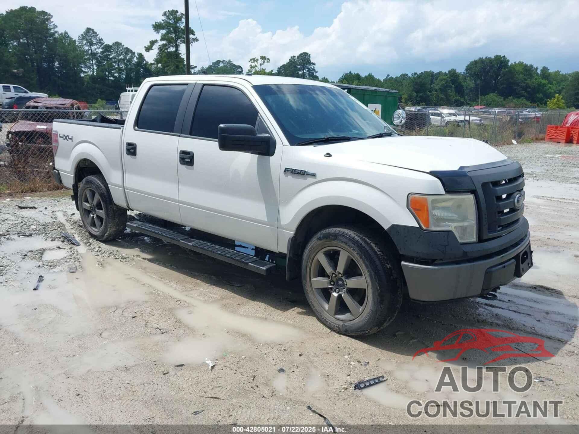 FORD F-150 2011 - 1FTFW1EF1BKD05042