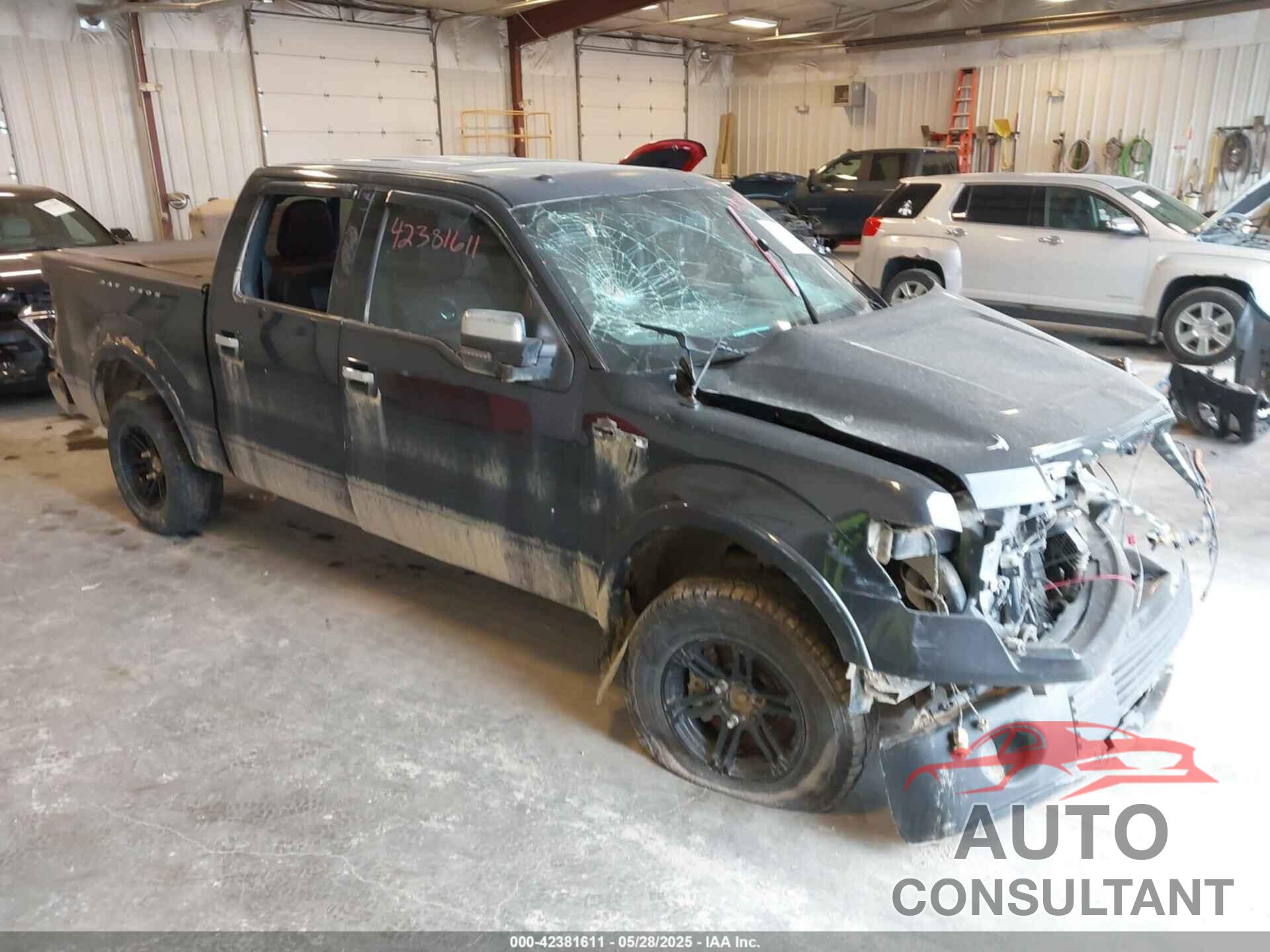 FORD F-150 2010 - 1FTFW1EV3AFA59268