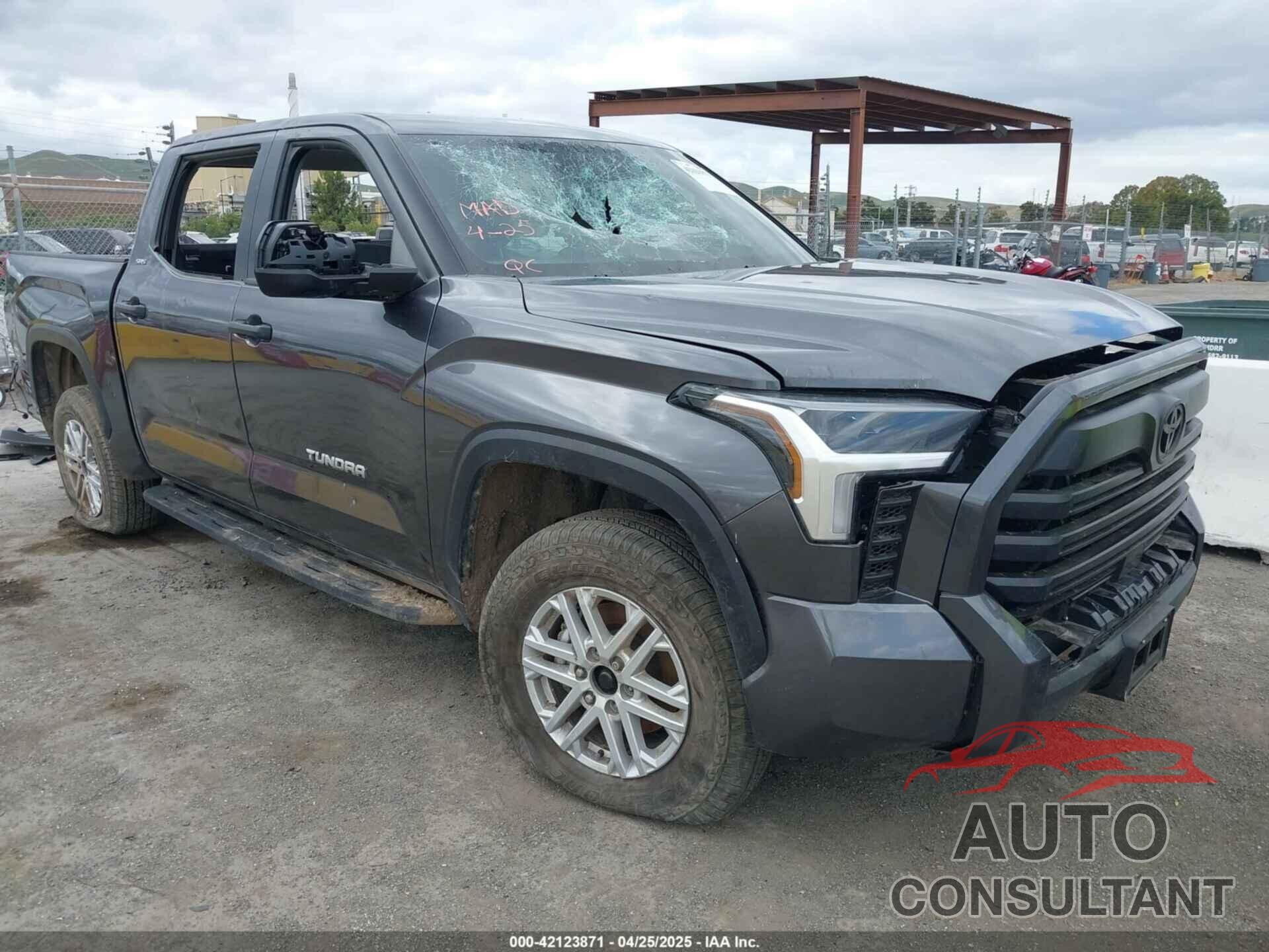 TOYOTA TUNDRA 2024 - 5TFLA5DB4RX145954