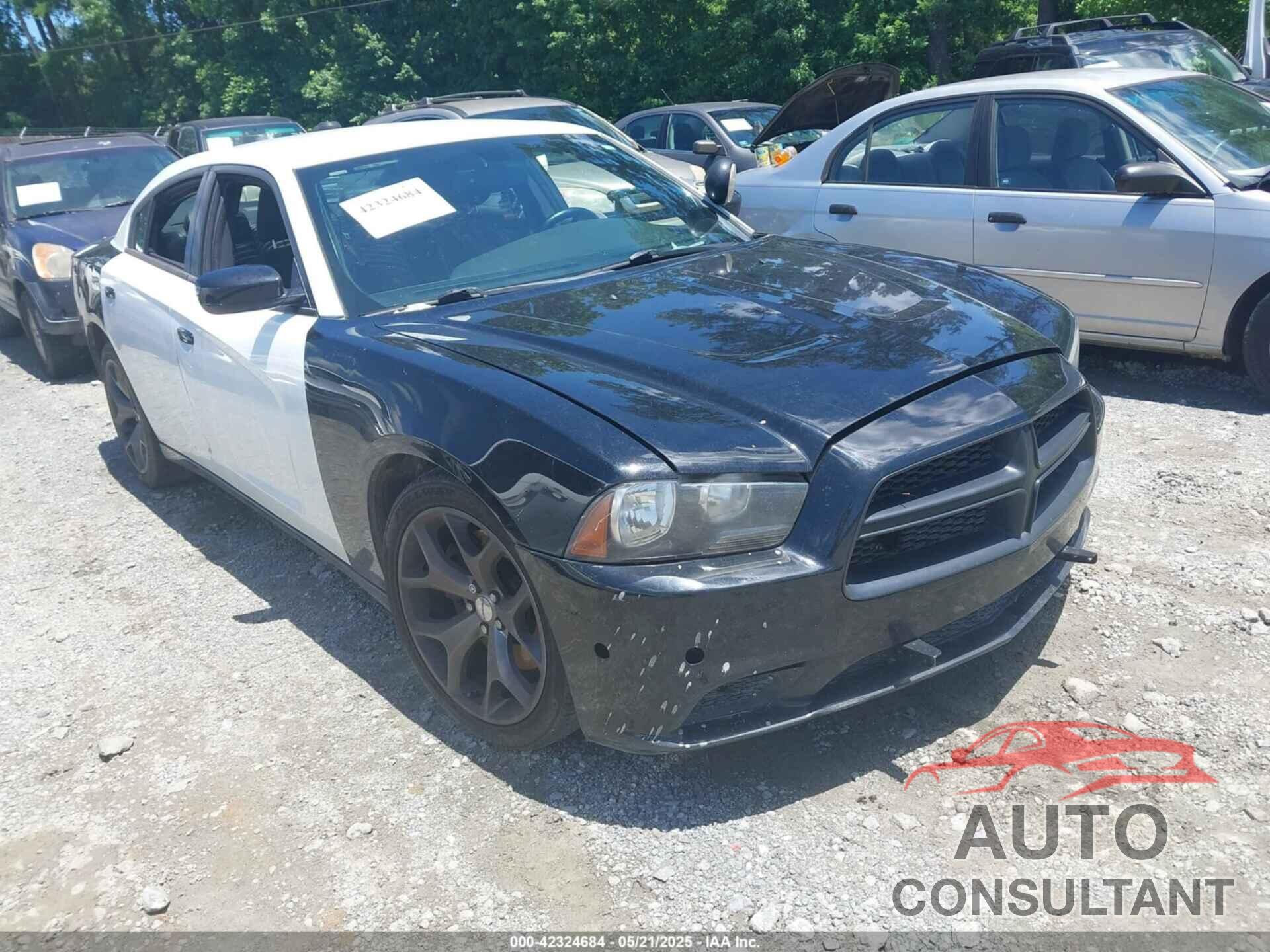 DODGE CHARGER 2014 - 2C3CDXAT2EH362082