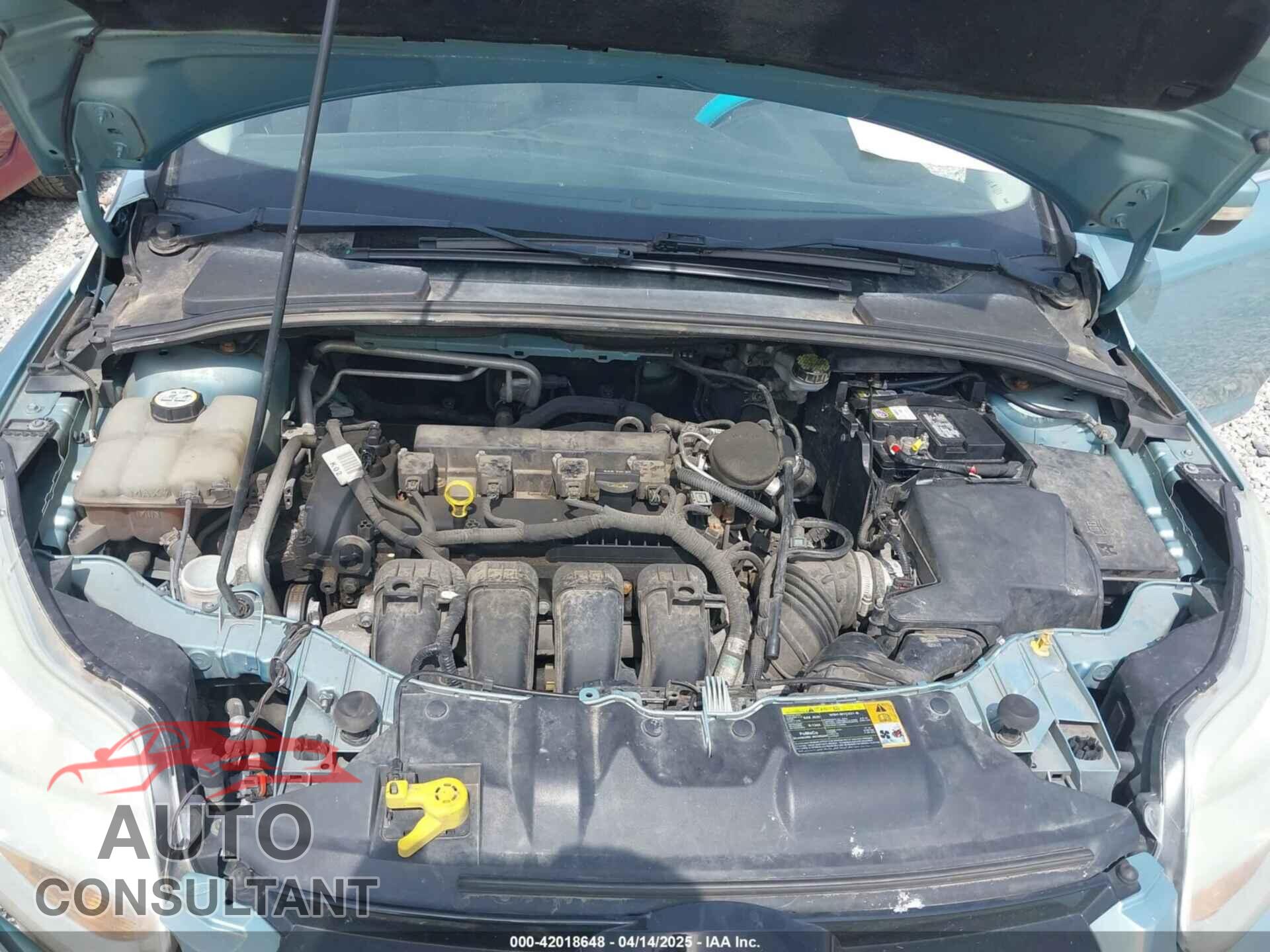 FORD FOCUS 2012 - 1FAHP3H21CL211061