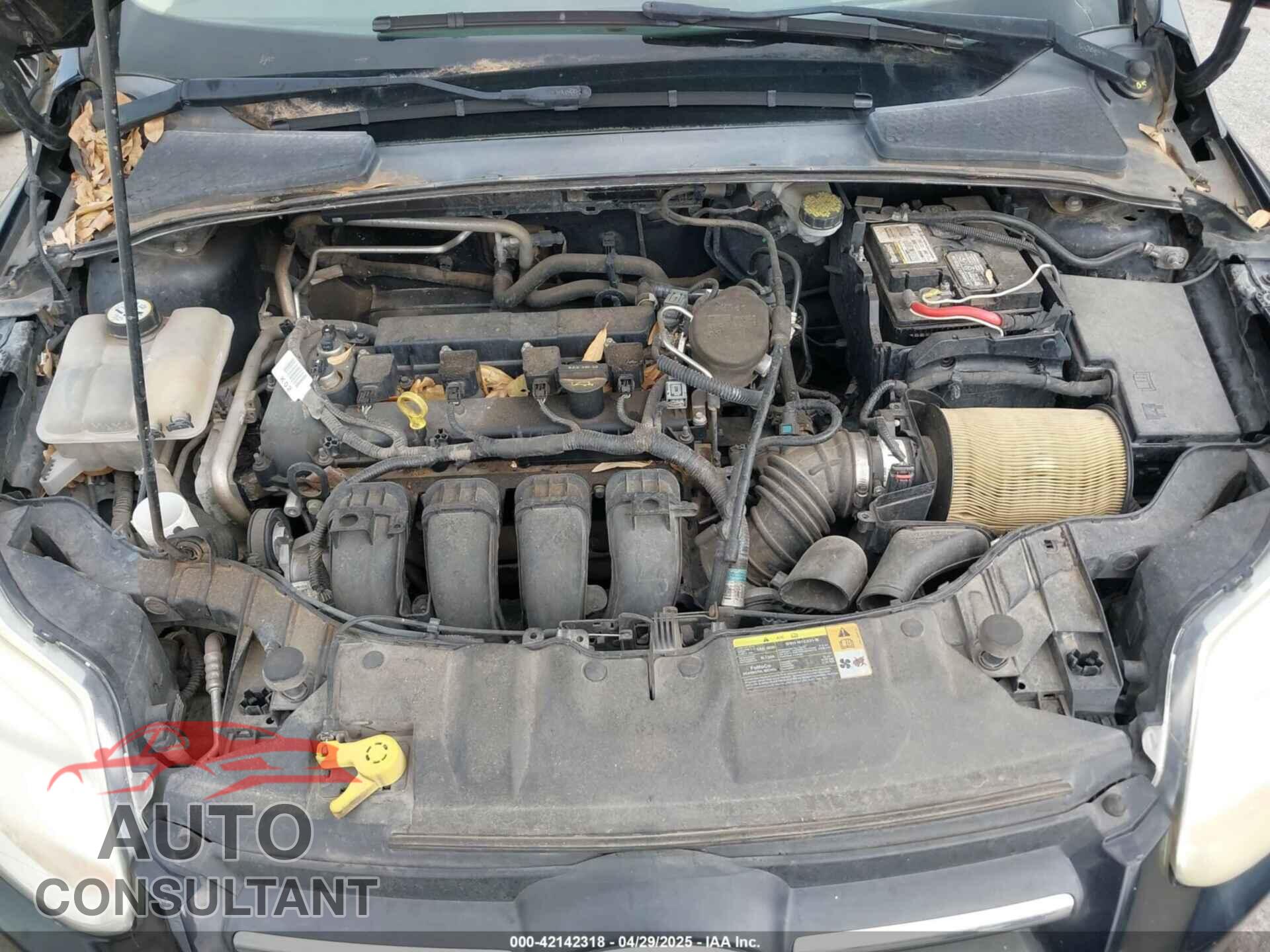 FORD FOCUS 2012 - 1FAHP3F28CL361932