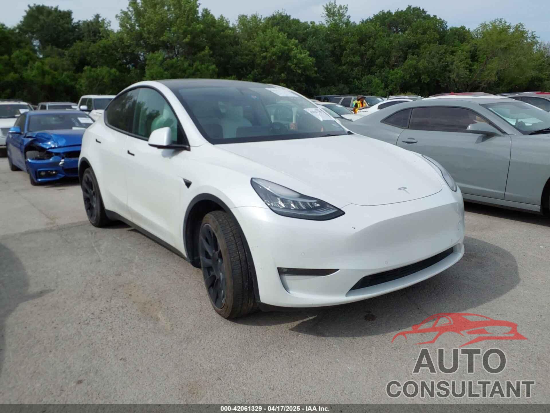 TESLA MODEL Y 2021 - 5YJYGAEE6MF212241