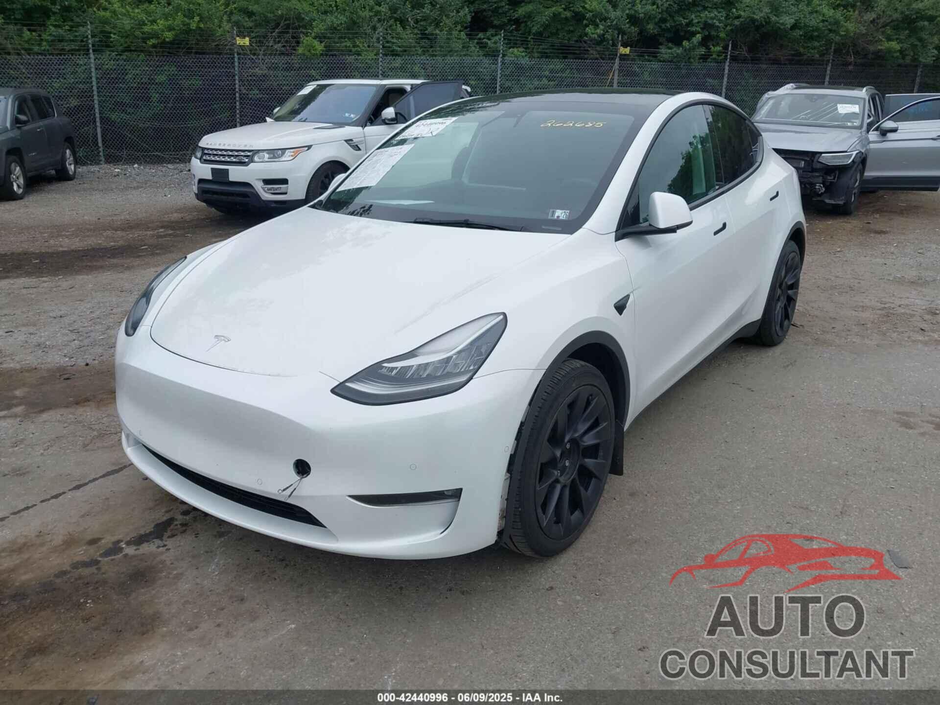 TESLA MODEL Y 2021 - 5YJYGDEE4MF262685
