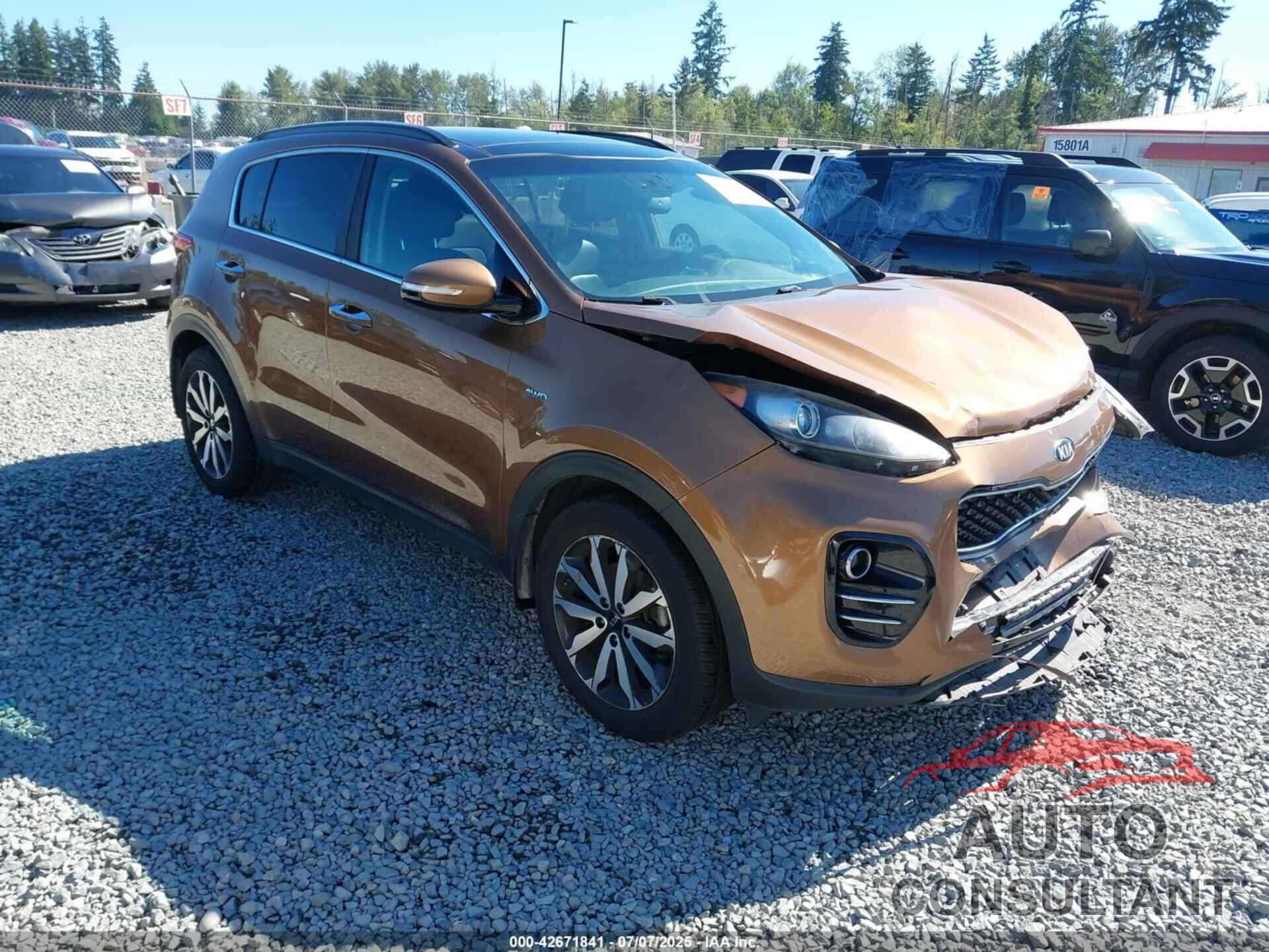 KIA SPORTAGE 2019 - KNDPNCAC6K7582917
