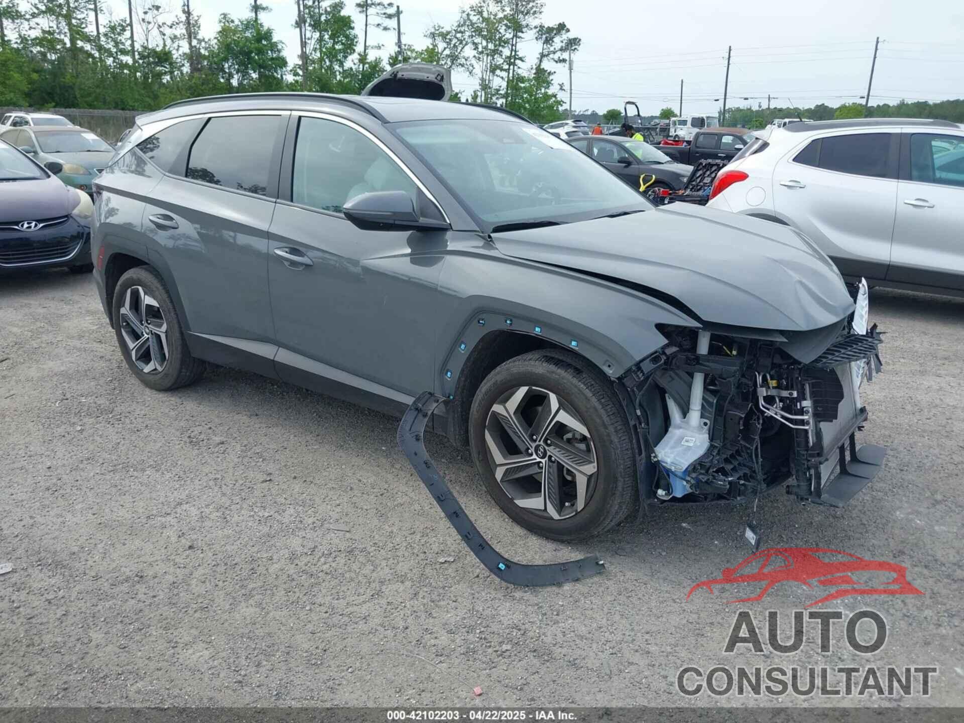 HYUNDAI TUCSON 2024 - 5NMJF3DE1RH312819