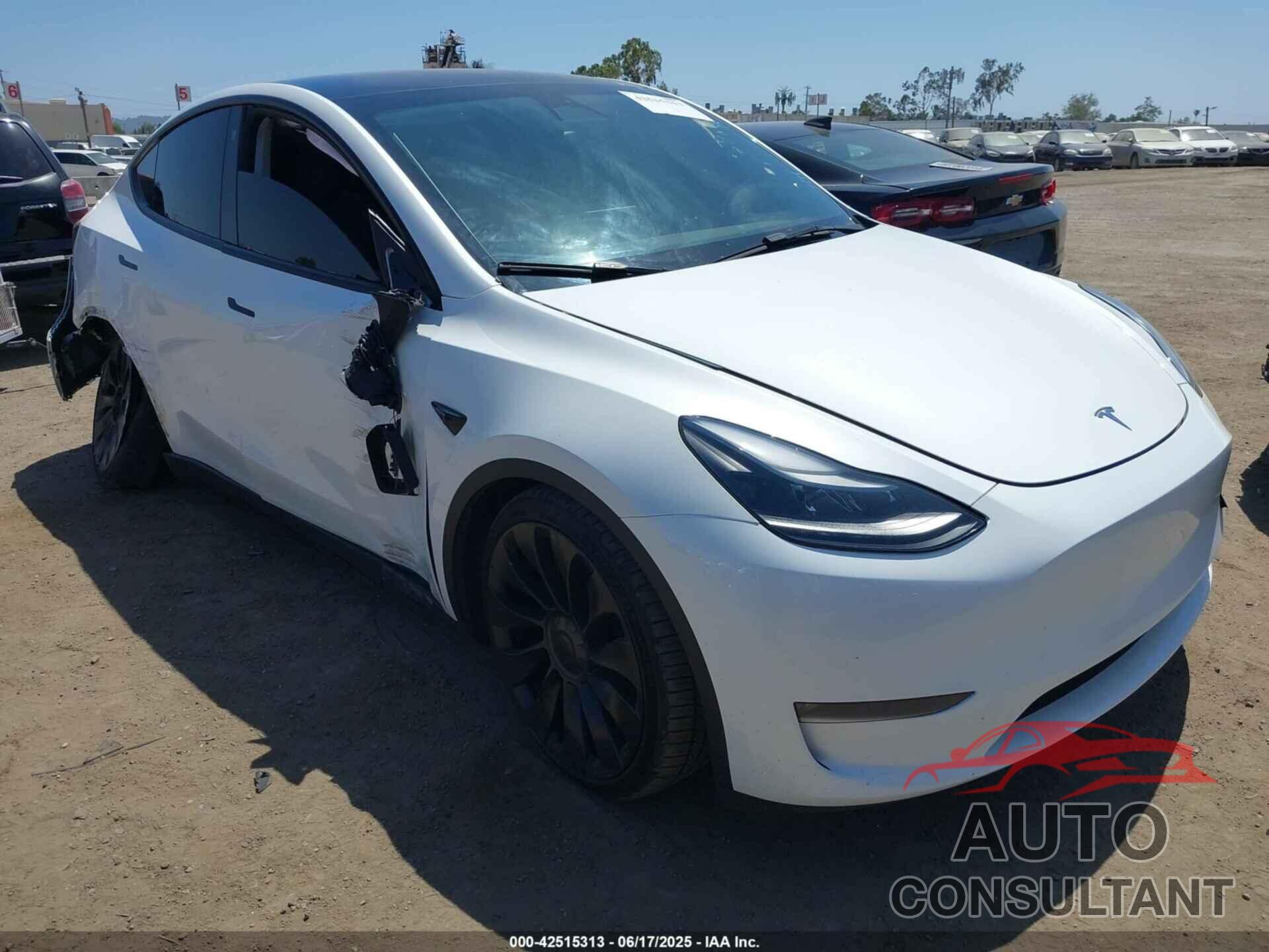 TESLA MODEL Y 2023 - 7SAYGDEF7PF739528