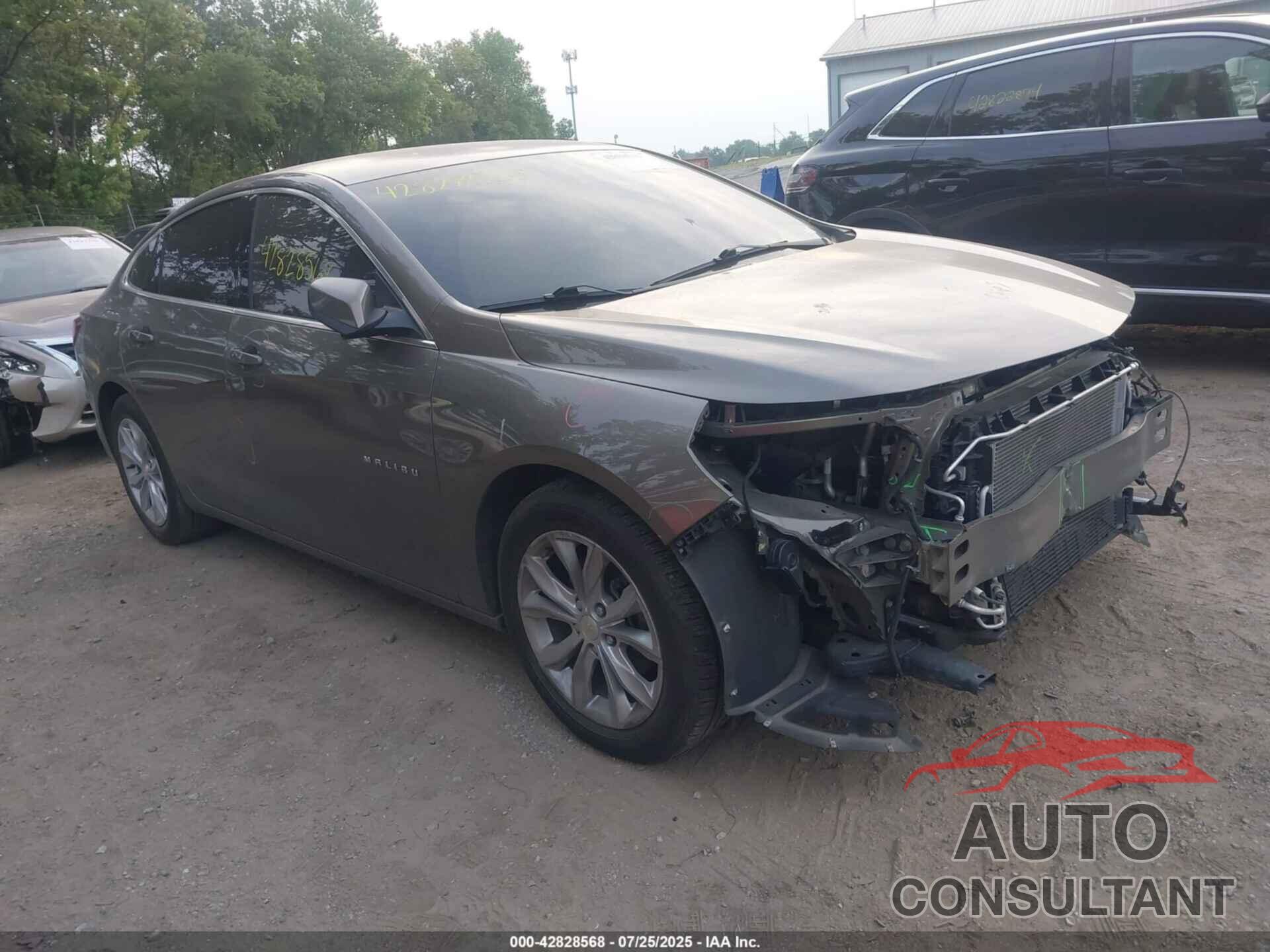 CHEVROLET MALIBU 2020 - 1G1ZD5ST9LF019933