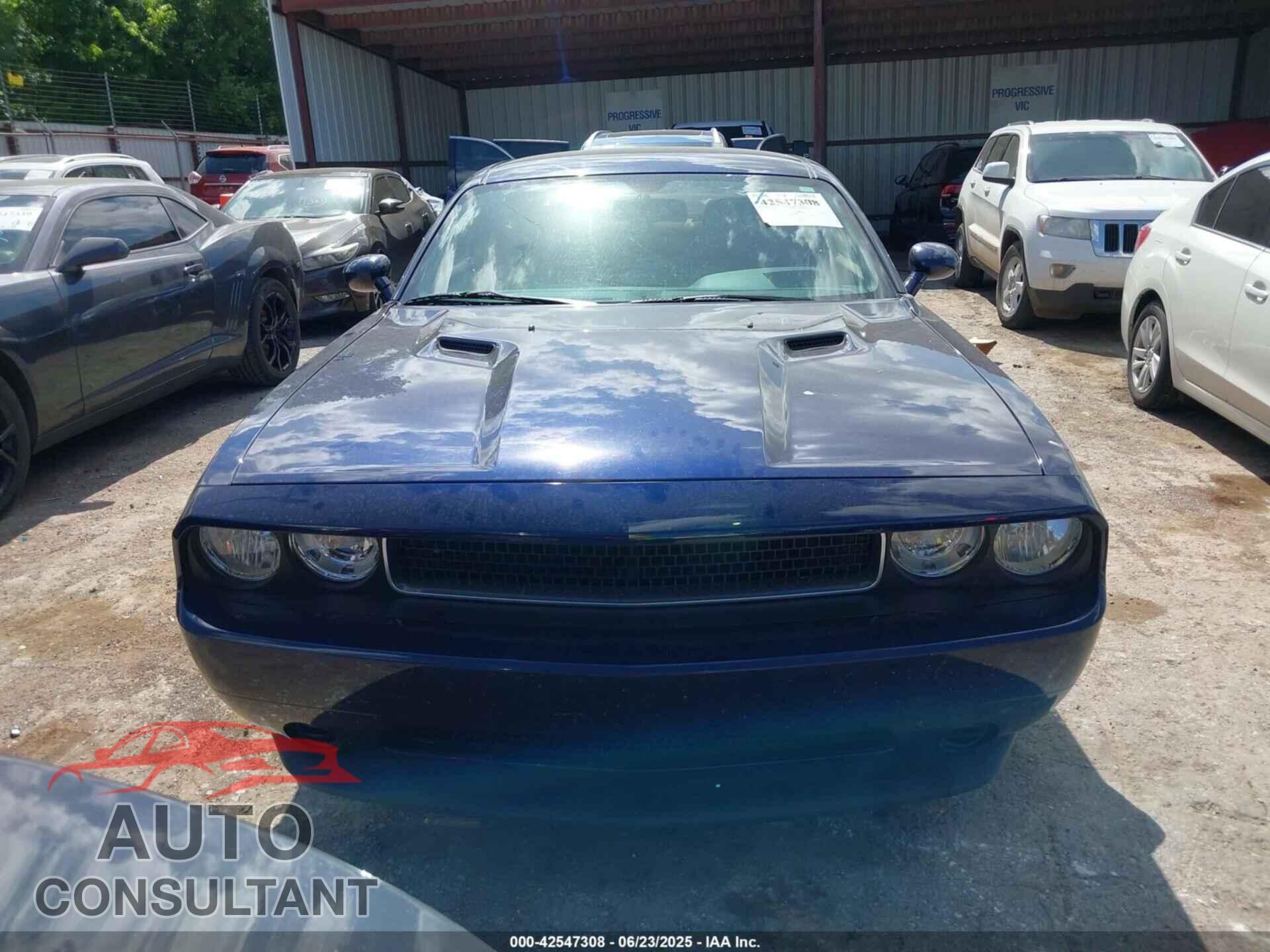 DODGE CHALLENGER 2013 - 2C3CDYAG8DH695247