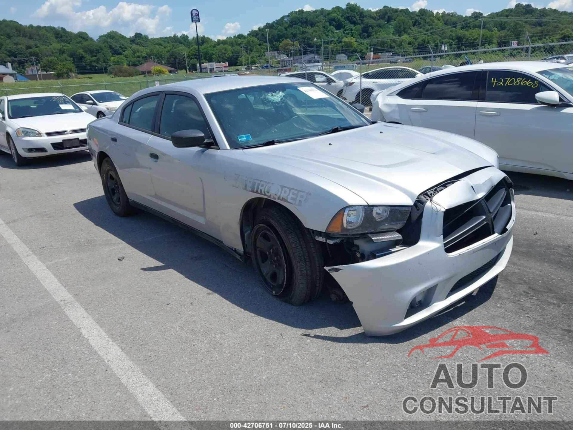 DODGE CHARGER 2014 - 2C3CDXAT3EH346540
