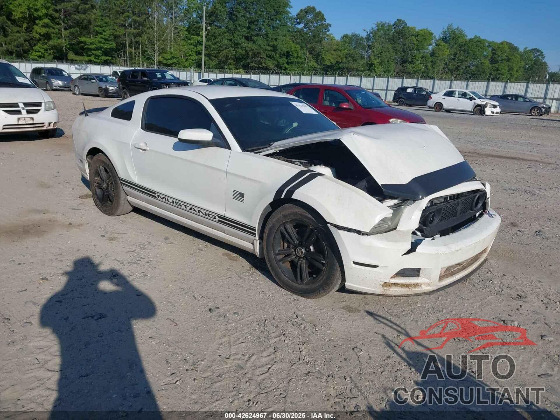 FORD MUSTANG 2013 - 1ZVBP8AM6D5275978