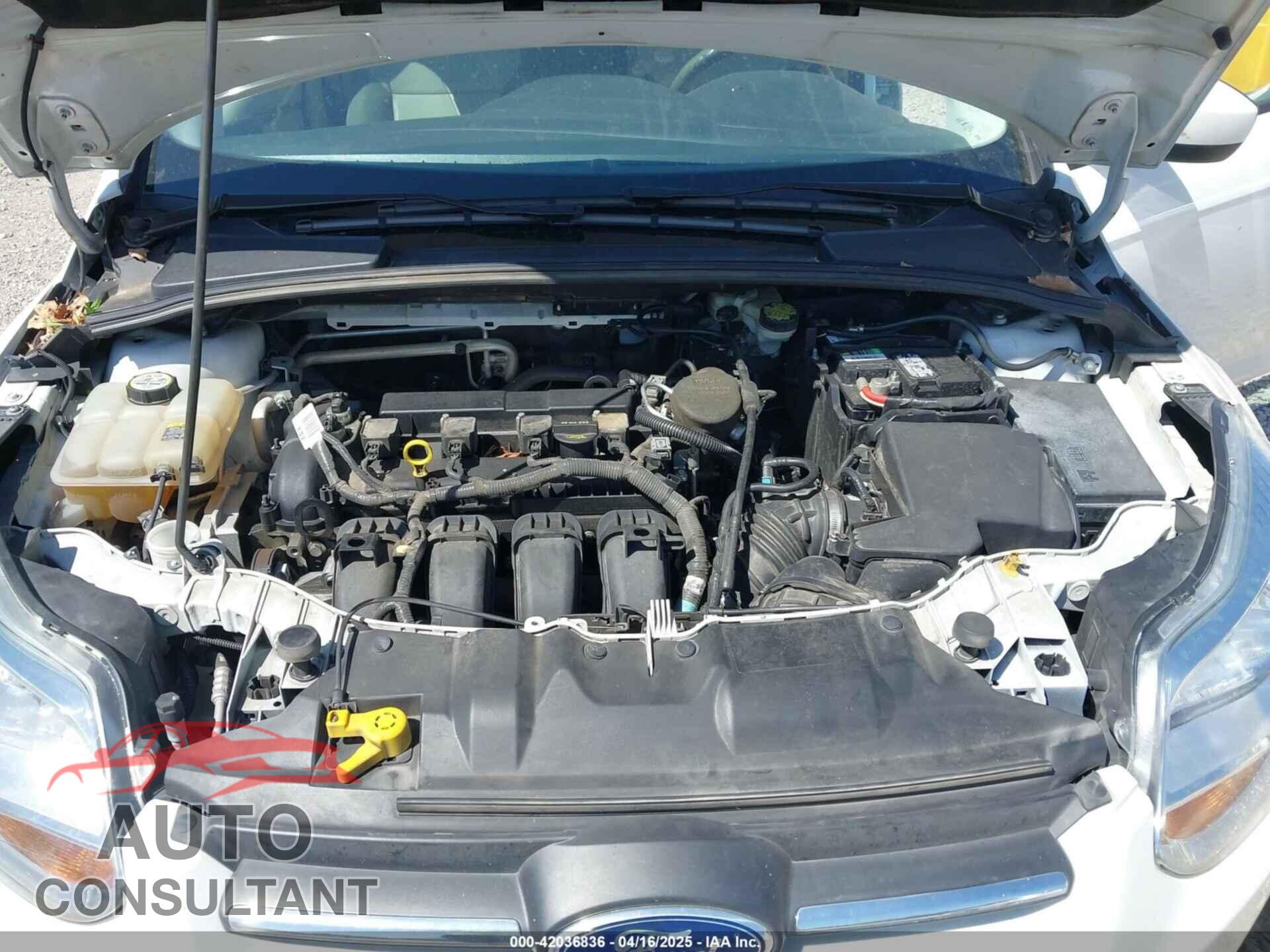 FORD FOCUS 2012 - 1FAHP3F22CL381061