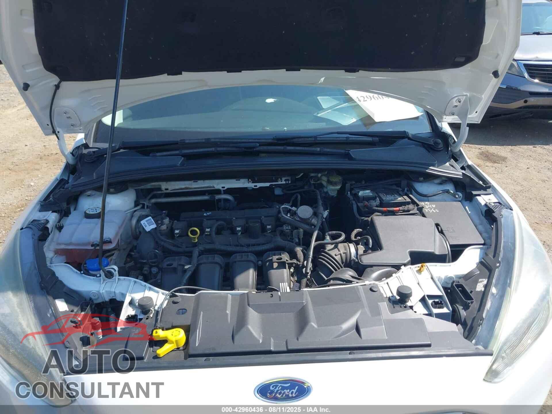 FORD FOCUS 2016 - 1FADP3F24GL349961