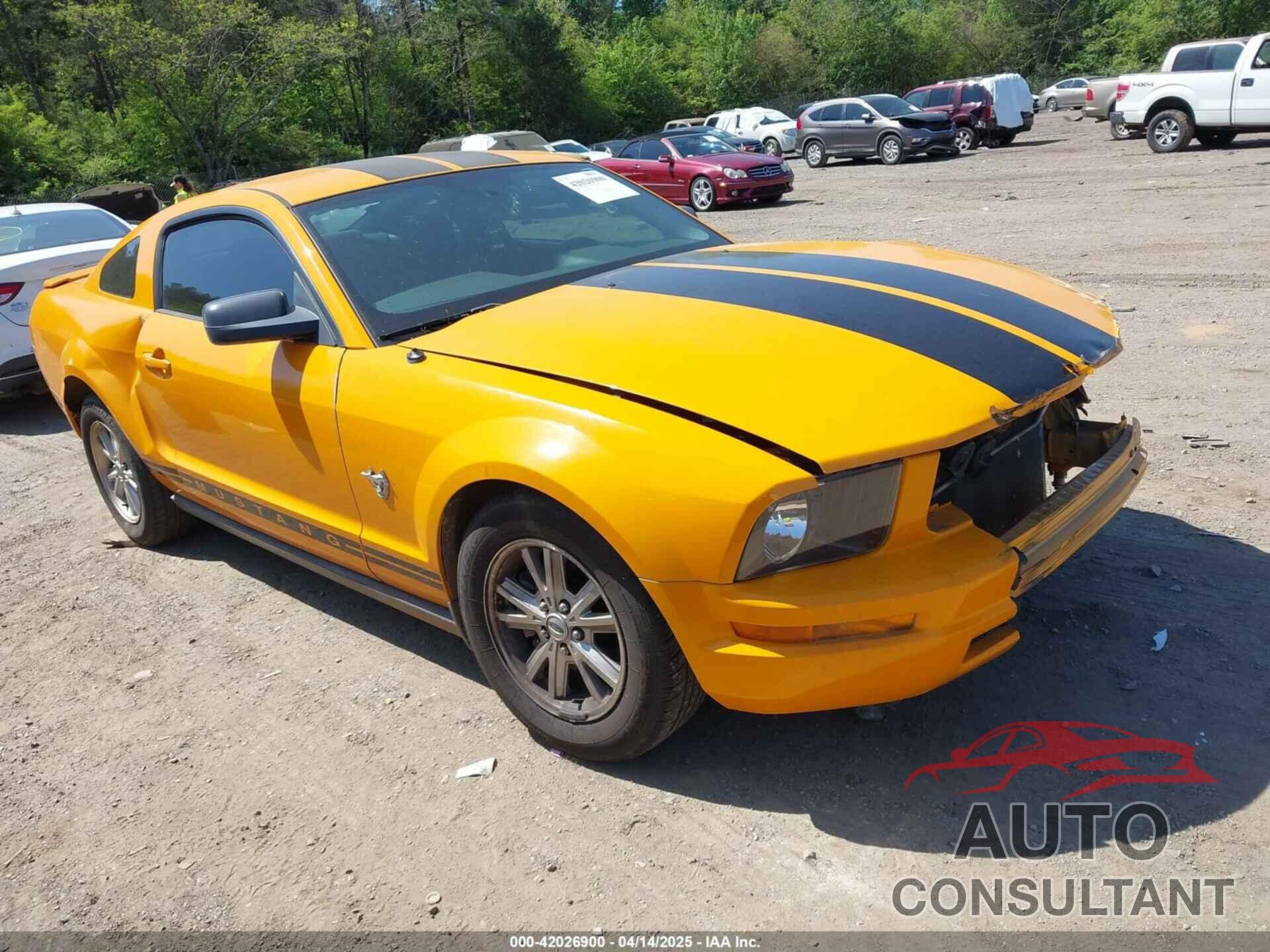 FORD MUSTANG 2009 - 1ZVHT80N995142848