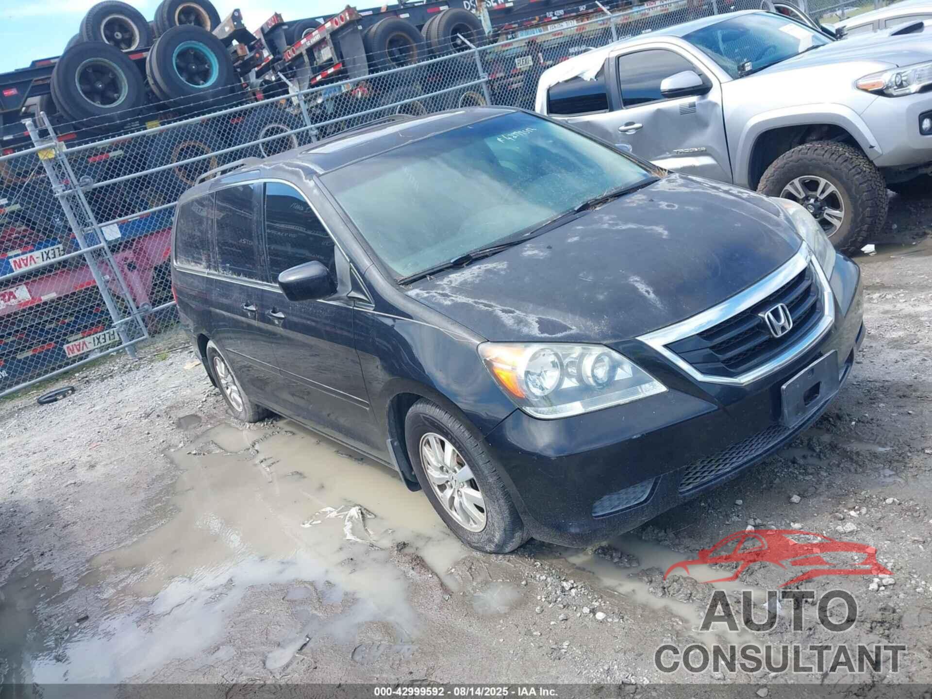 HONDA ODYSSEY 2009 - 5FNRL38679B032306