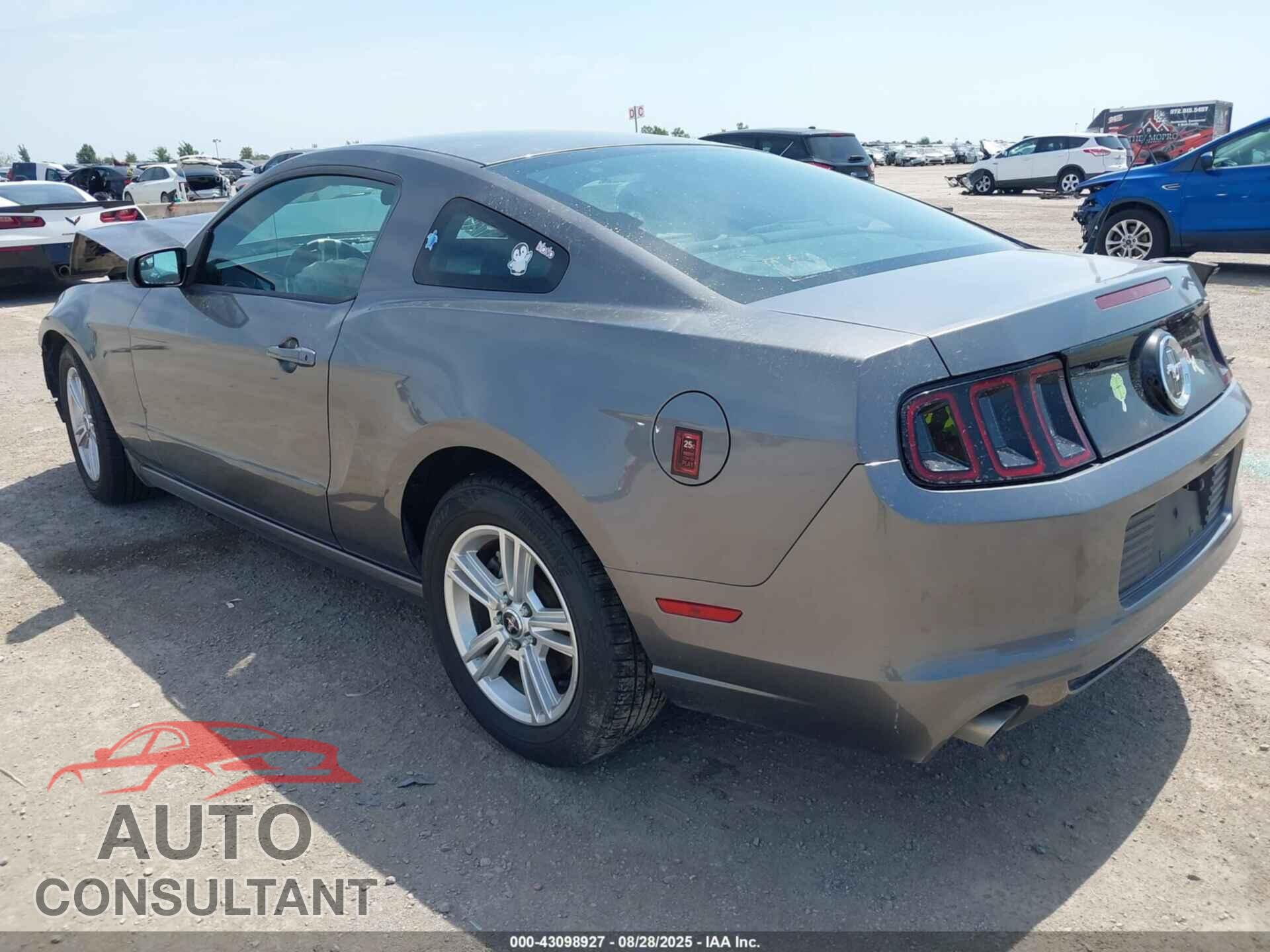 FORD MUSTANG 2014 - 1ZVBP8AM9E5280738