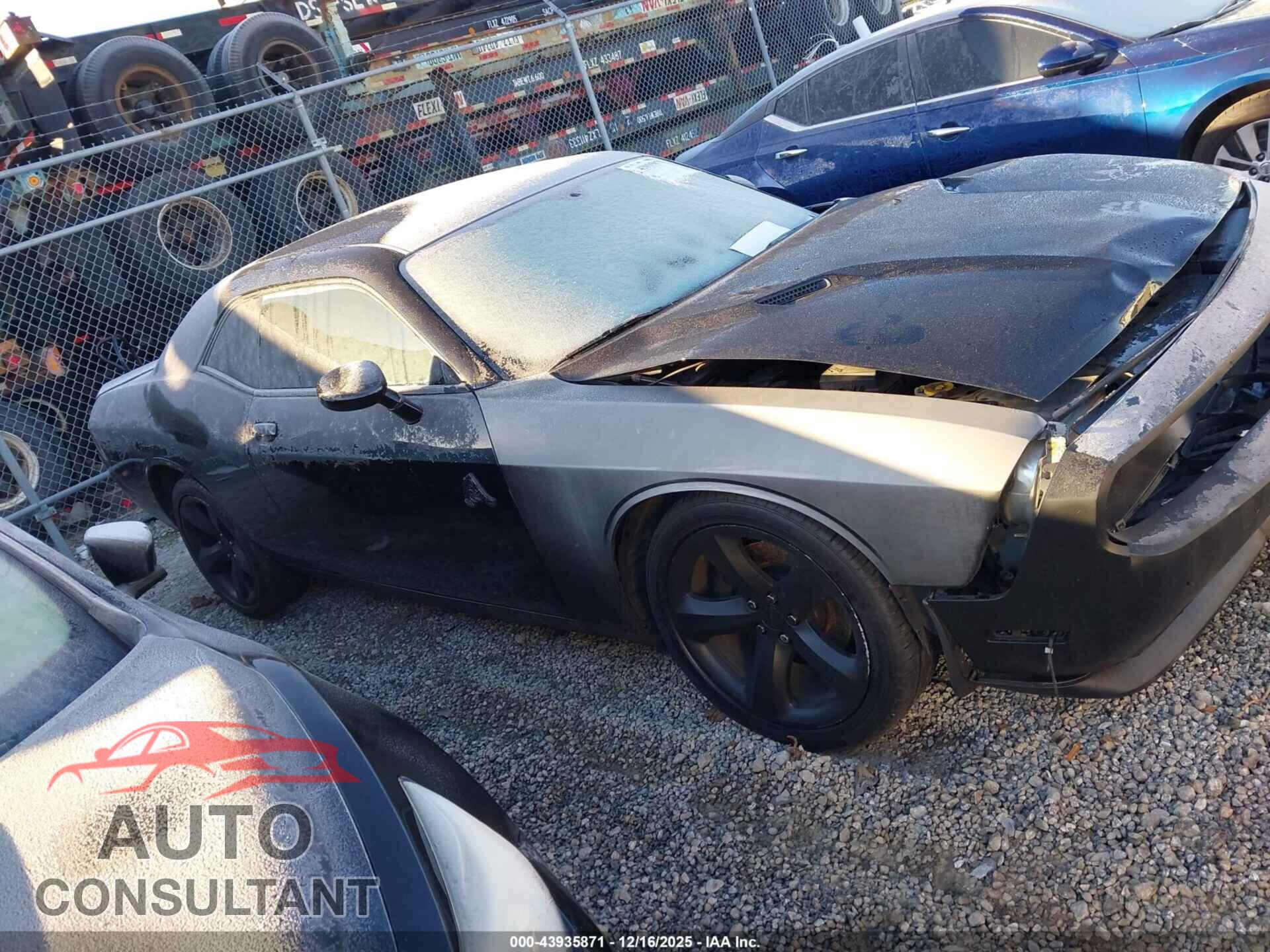 DODGE CHALLENGER 2013 - 2C3CDYAG2DH651888