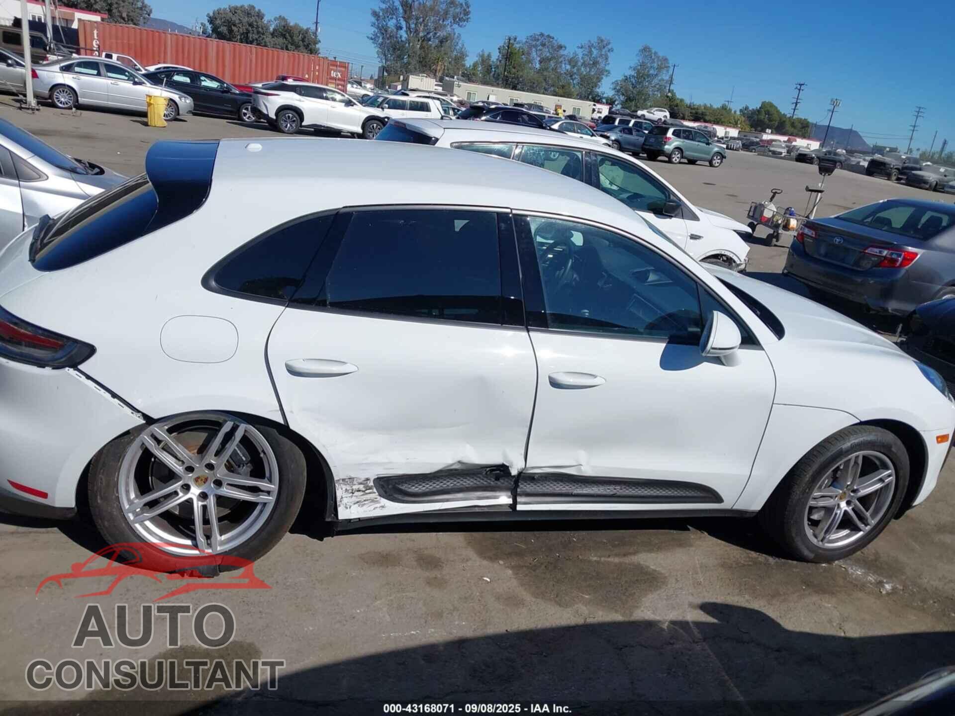 PORSCHE MACAN 2023 - WP1AA2A56PLB09934