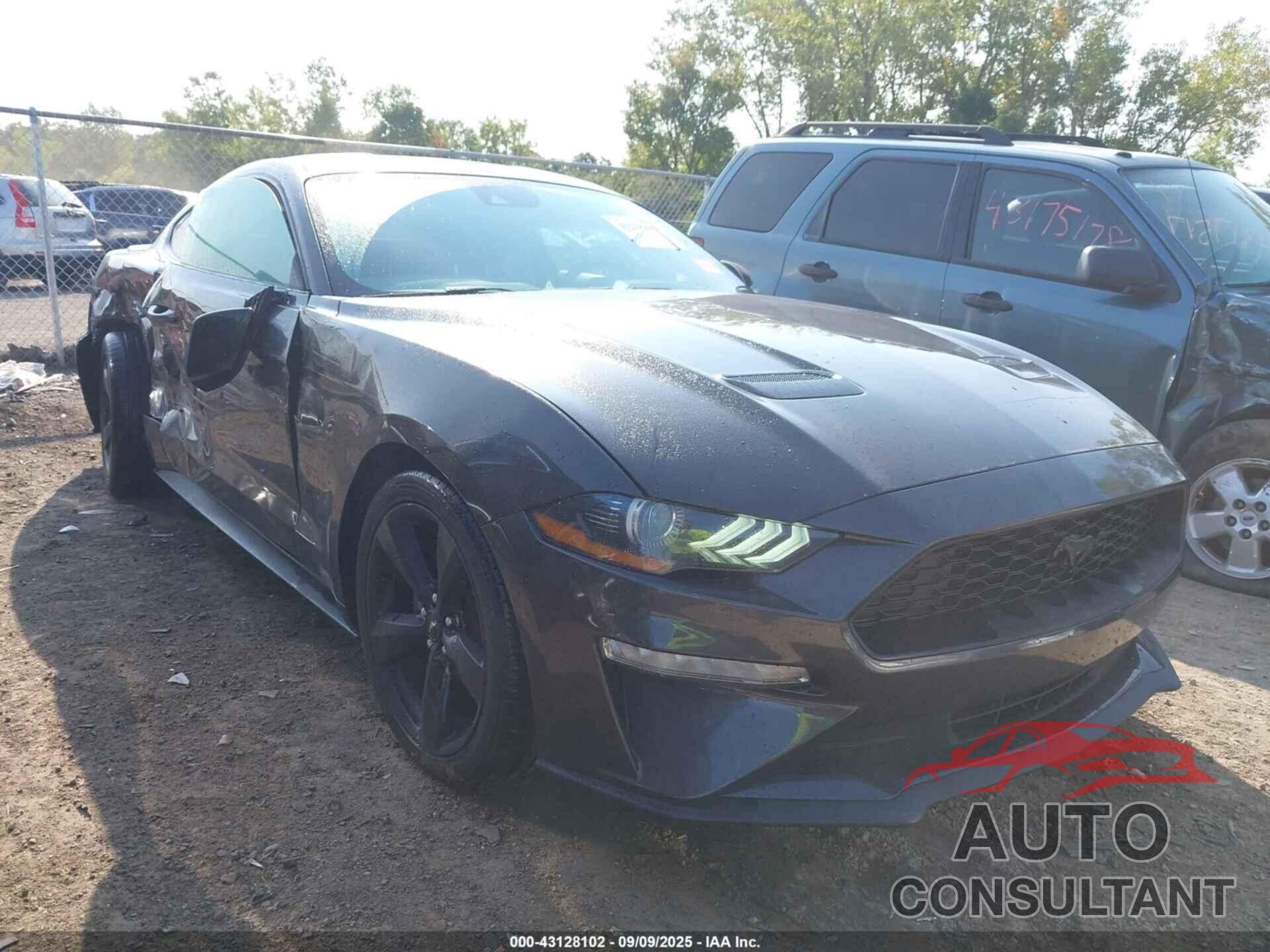 FORD MUSTANG 2022 - 1FA6P8TH1N5128205