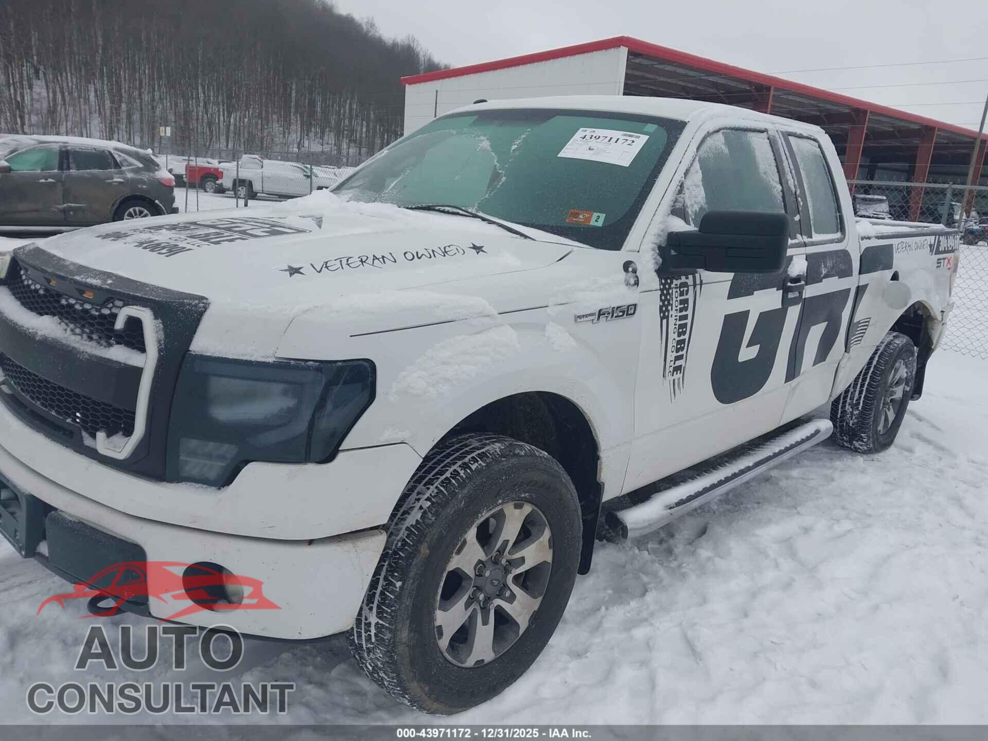 FORD F-150 2012 - 1FTFX1EF7CFA19087