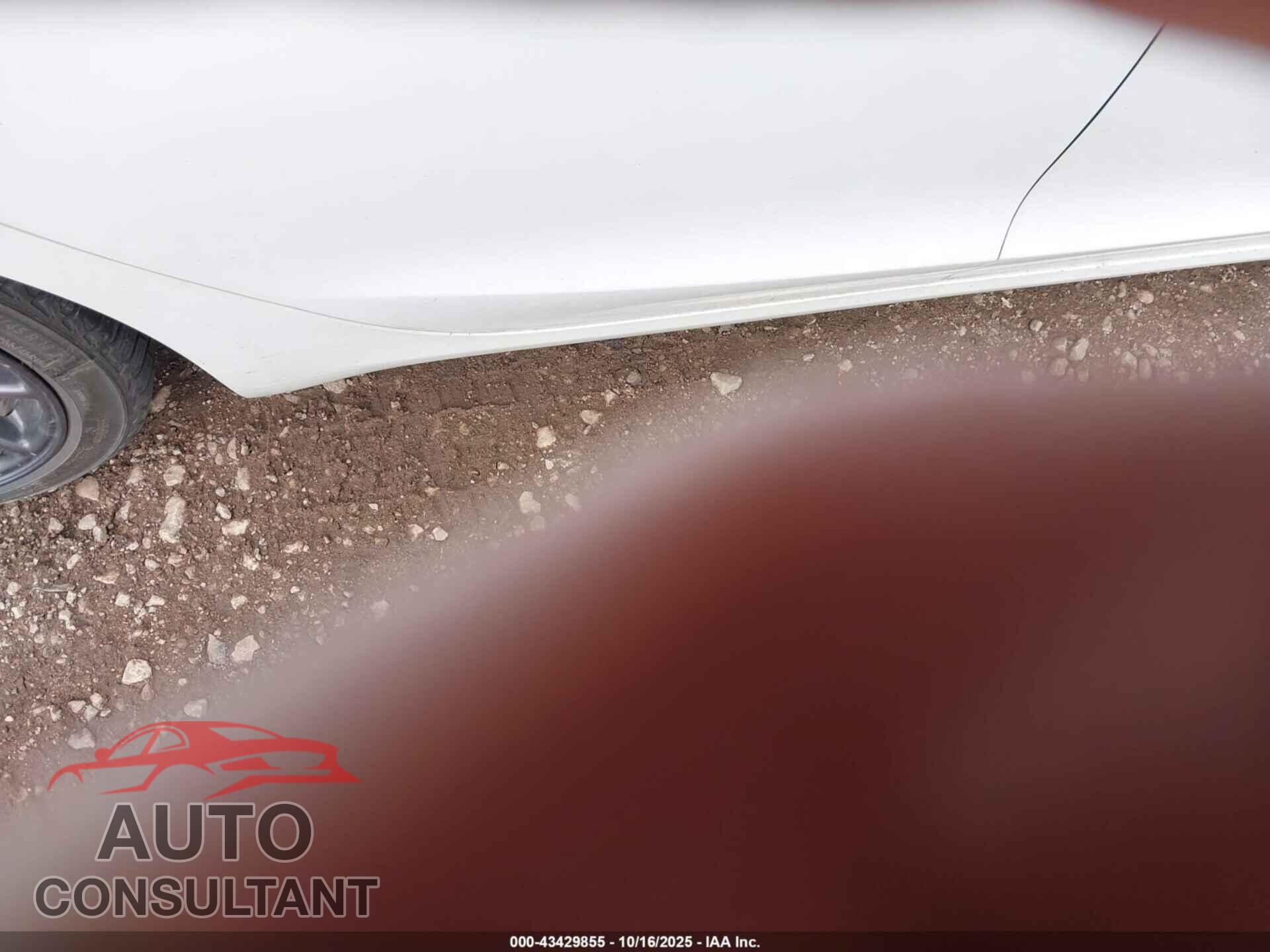 TESLA MODEL 3 2019 - 5YJ3E1EA5KF464573