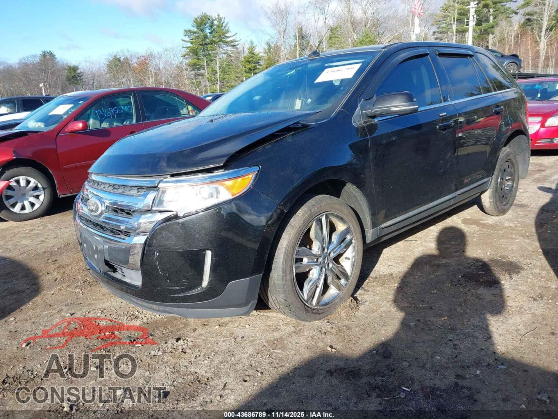 FORD EDGE 2014 - 2FMDK4KC2EBA22447