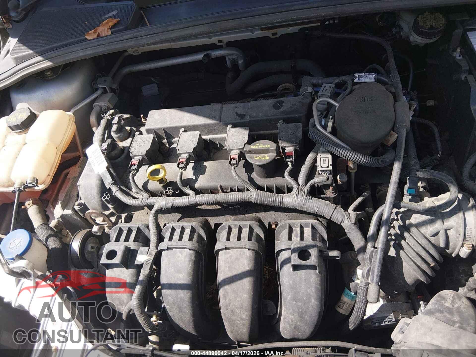 FORD FOCUS 2014 - 1FADP3F21EL176980