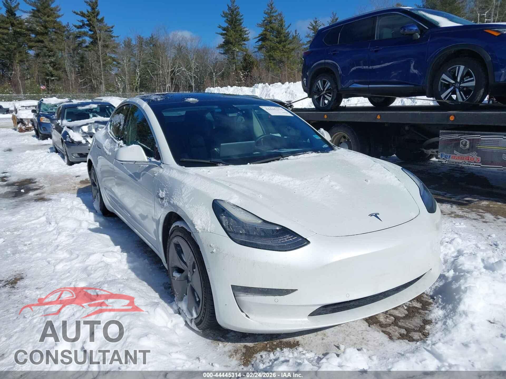 TESLA MODEL 3 2020 - 5YJ3E1EA3LF613497