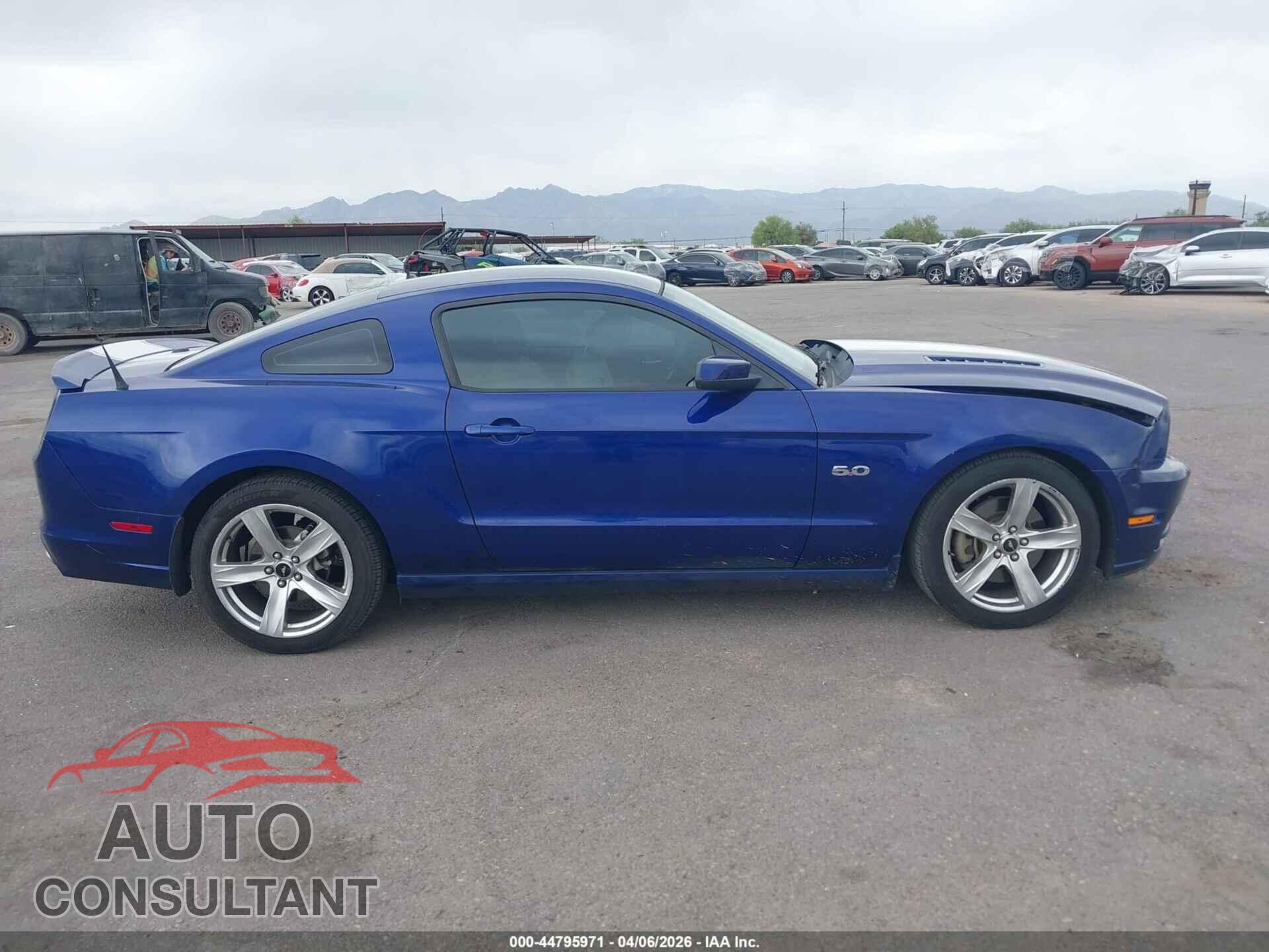 FORD MUSTANG 2014 - 1ZVBP8CF4E5328029