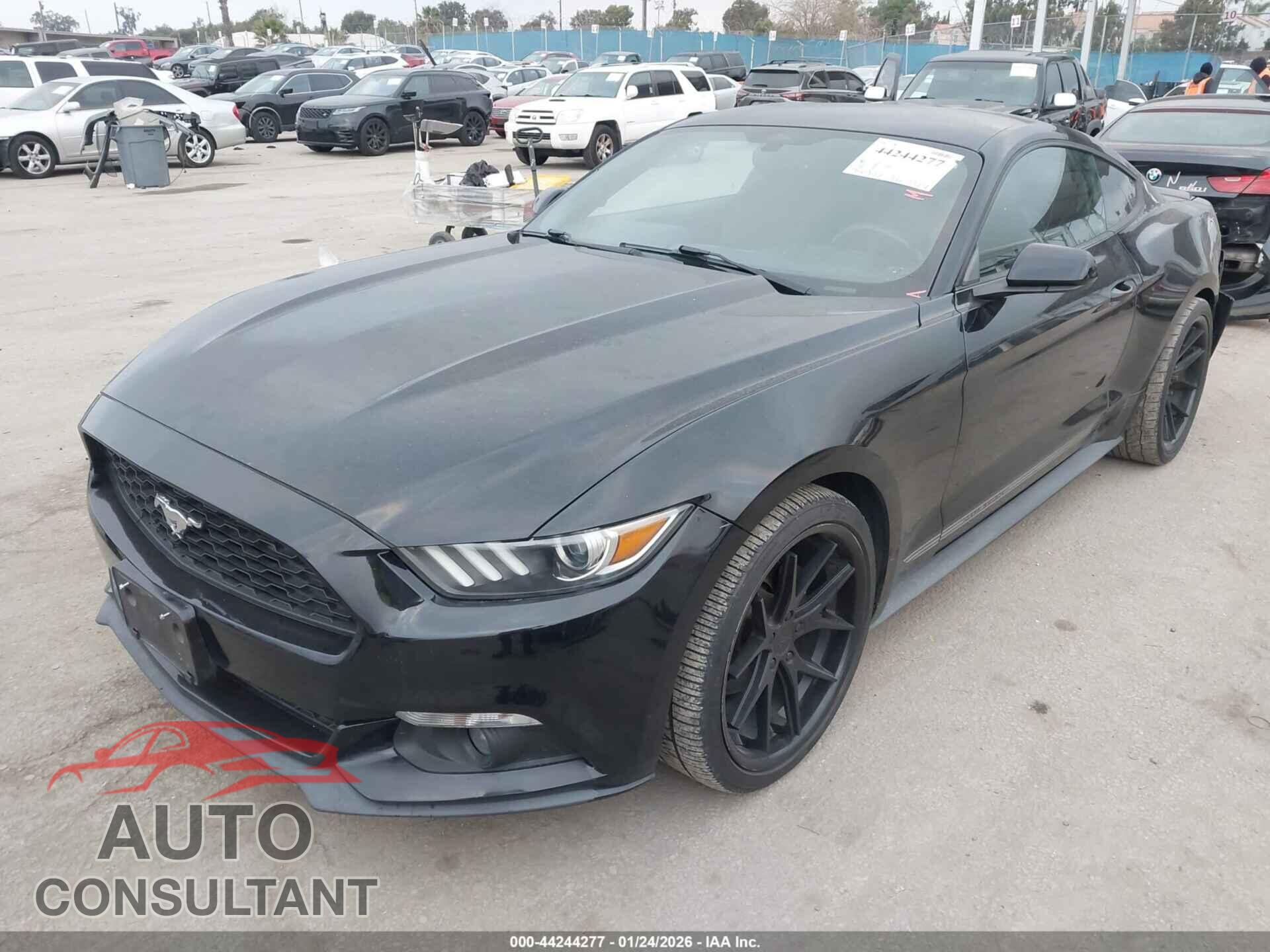 FORD MUSTANG 2016 - 1FA6P8TH4G5273855