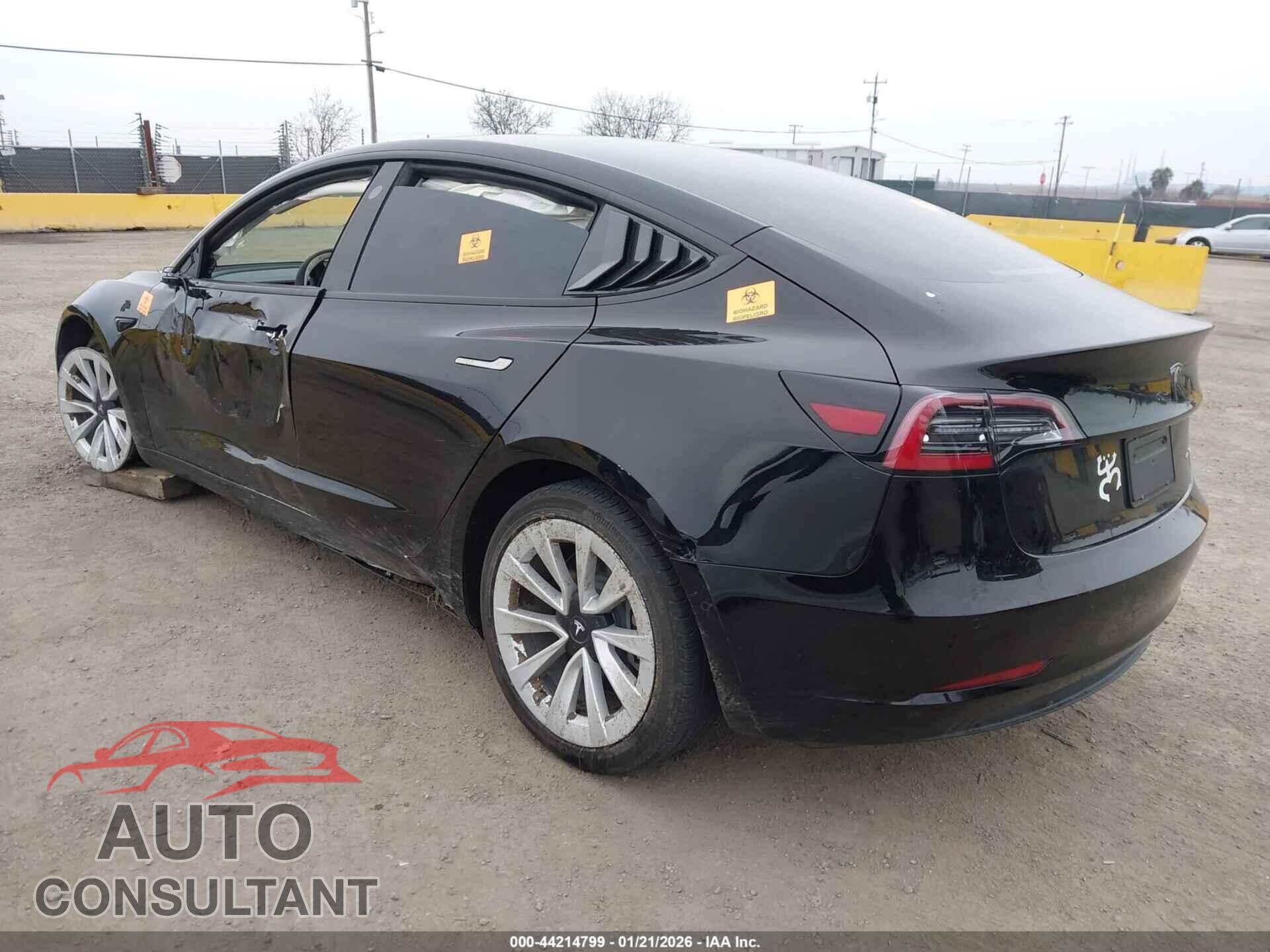TESLA MODEL 3 2022 - 5YJ3E1EB0NF142842
