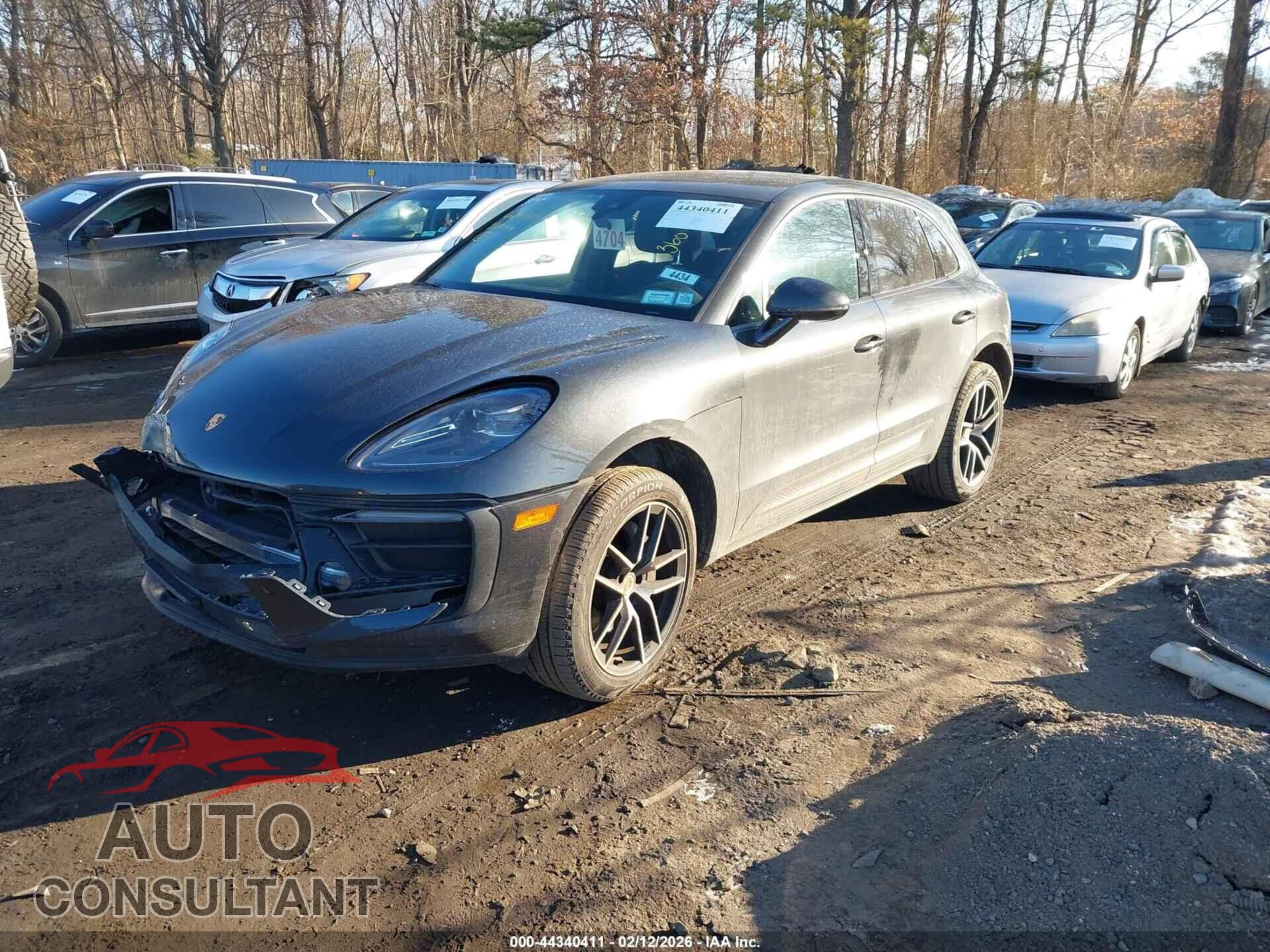PORSCHE MACAN 2024 - WP1AA2A59RLB11342