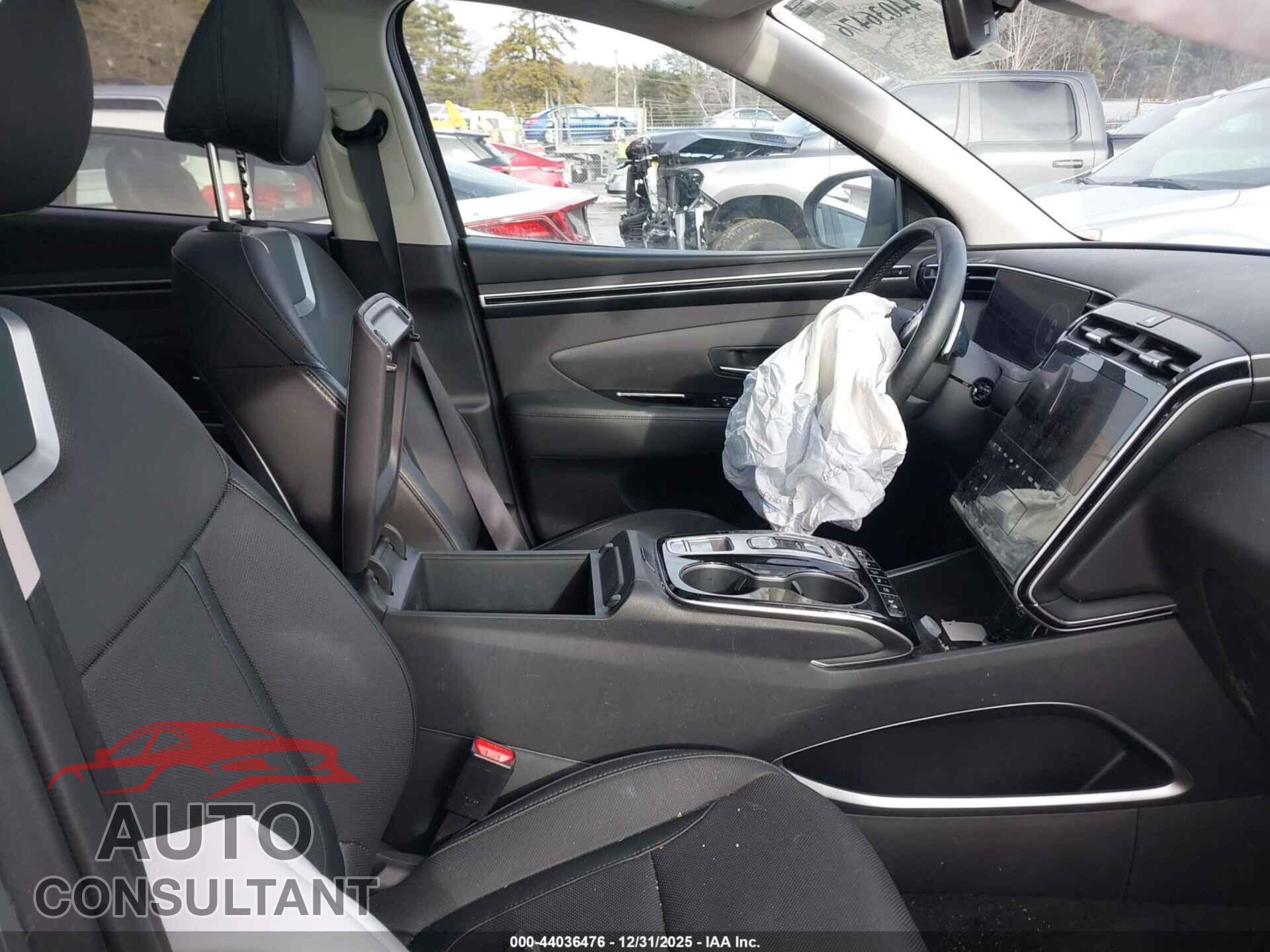 HYUNDAI TUCSON 2024 - 5NMJECDE8RH395491
