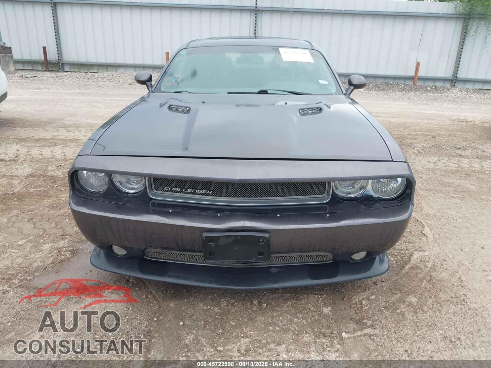 DODGE CHALLENGER 2013 - 2C3CDYAG6DH591355