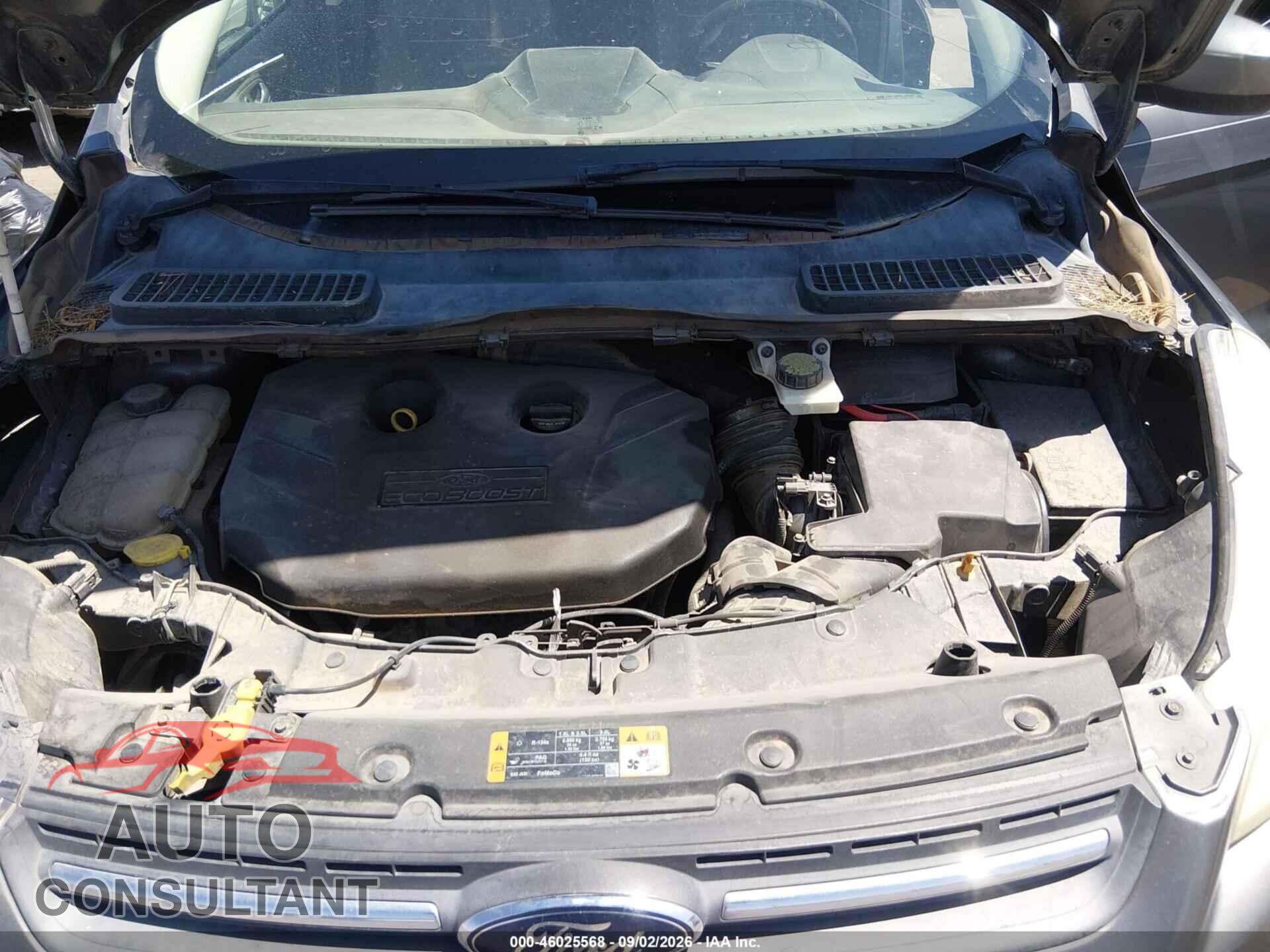 FORD ESCAPE 2013 - 1FMCU0G94DUC13775