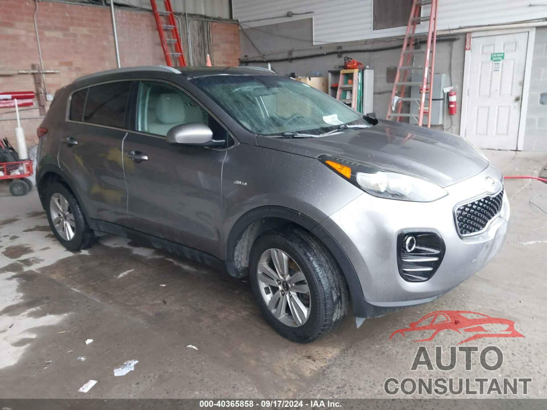 KIA SPORTAGE 2017 - KNDPMCAC3H7087389