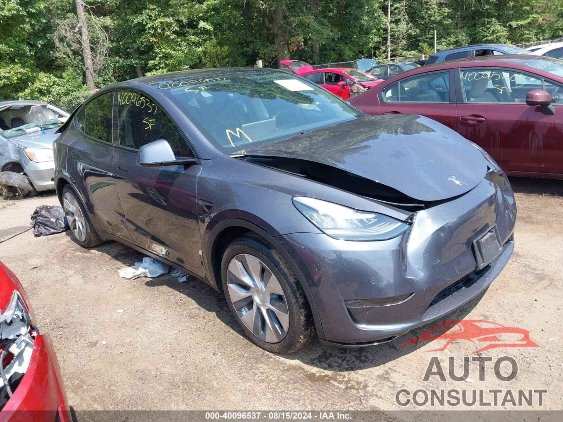 TESLA MODEL Y 2021 - 5YJYGDEE5MF067081