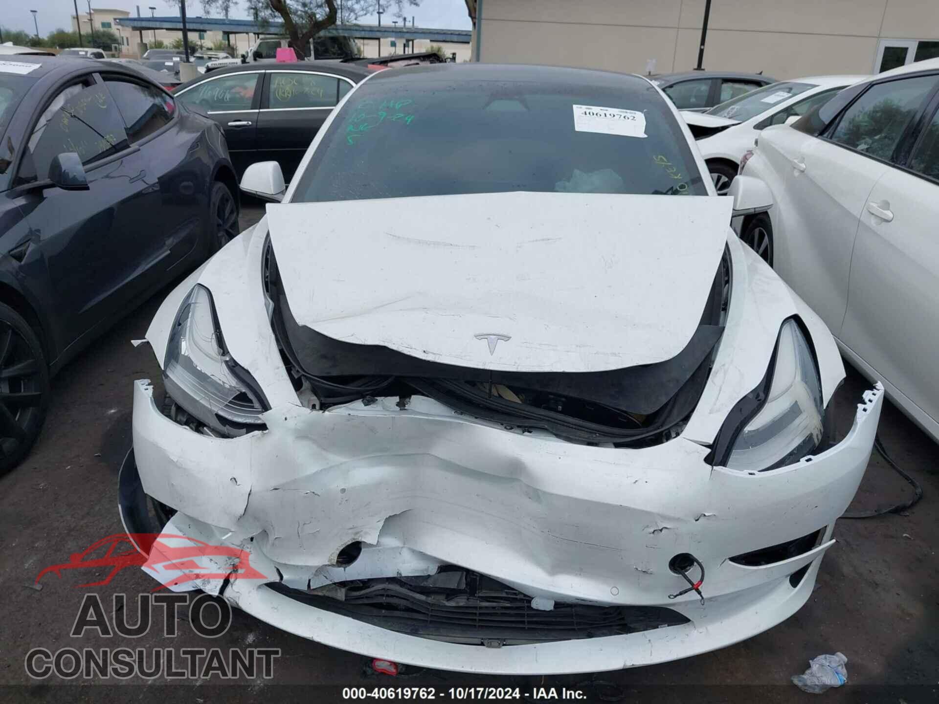 TESLA MODEL 3 2019 - 5YJ3E1EA2KF317482