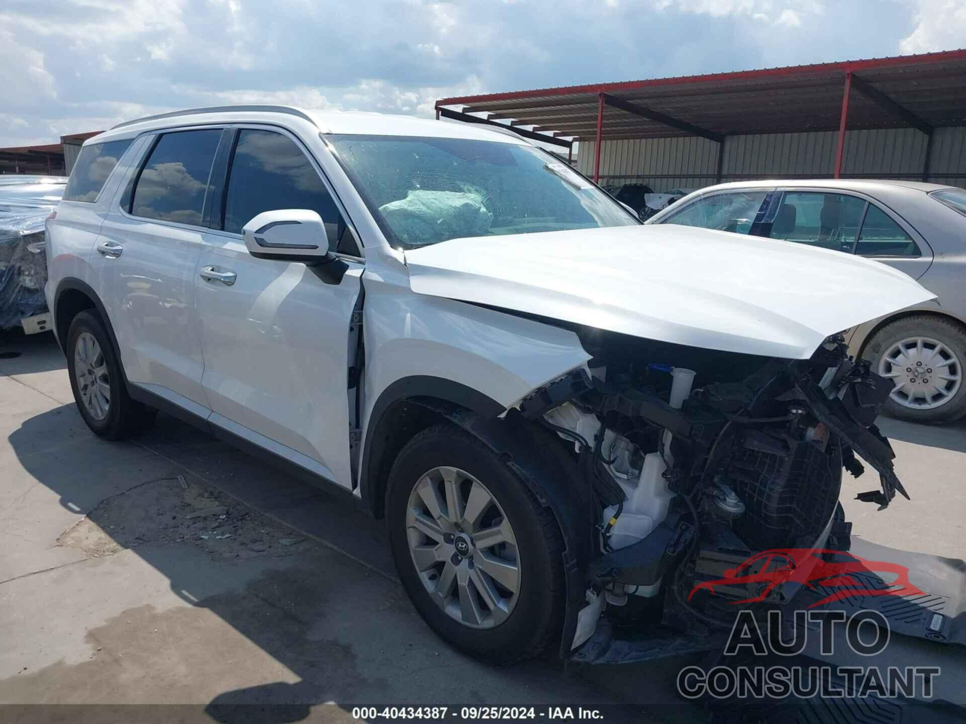 HYUNDAI PALISADE 2024 - KM8R24GE1RU664092