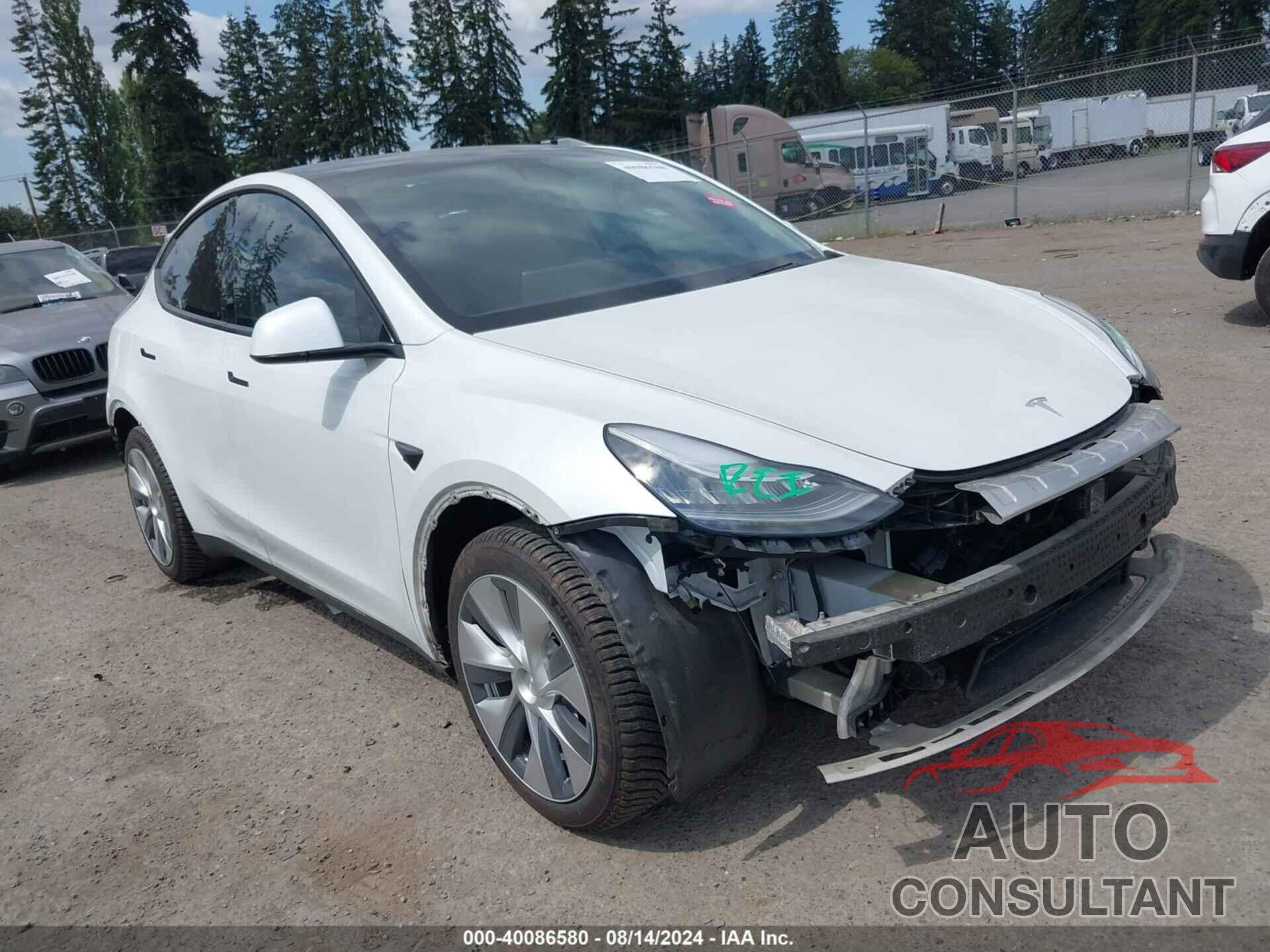 TESLA MODEL Y 2020 - 5YJYGDEE5LF009177