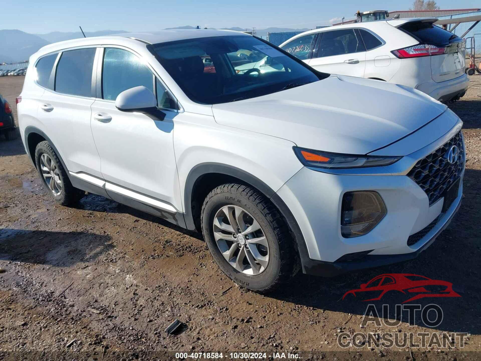 HYUNDAI SANTA FE 2019 - 5NMS2CAD1KH113318